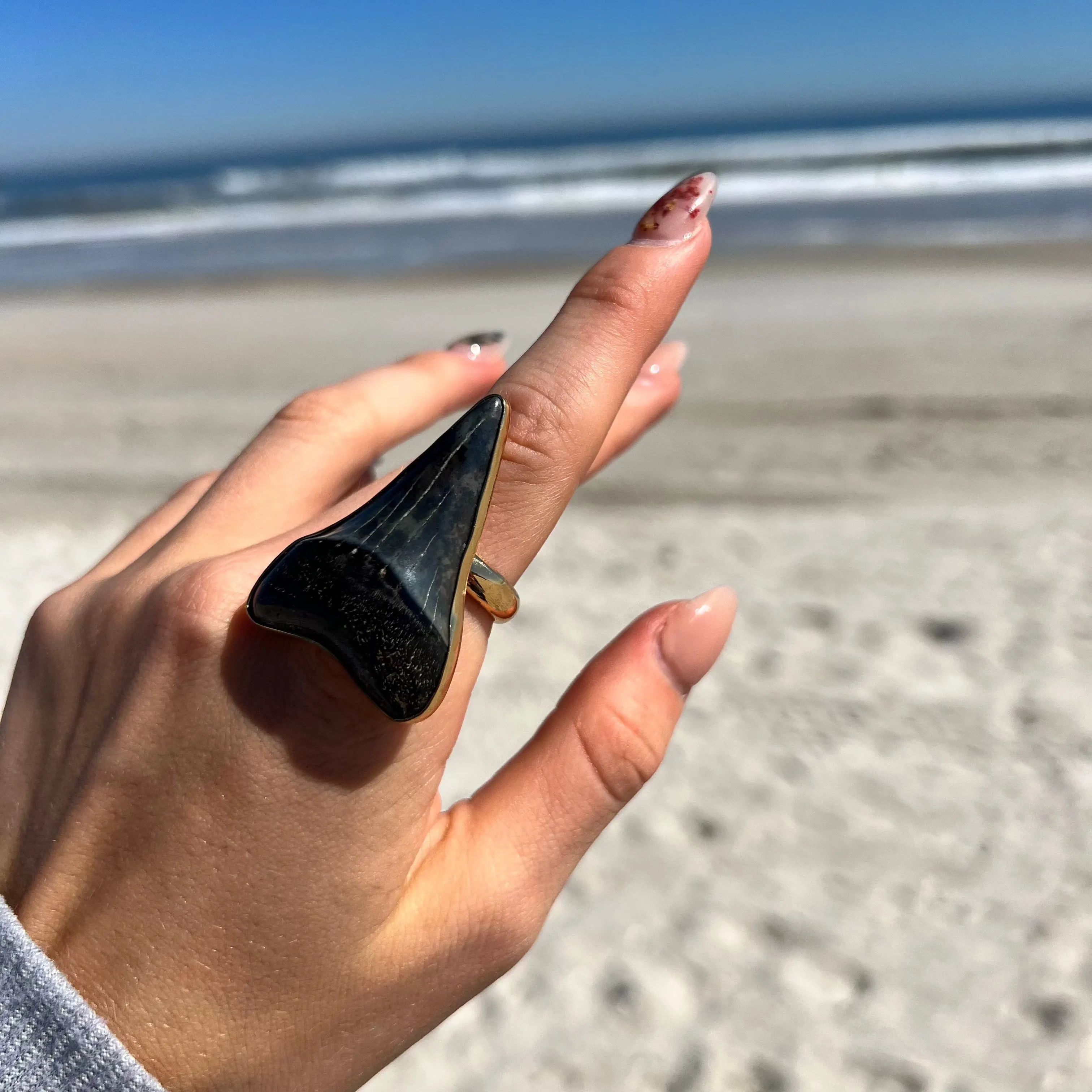 1684 - Shark Tooth Ring