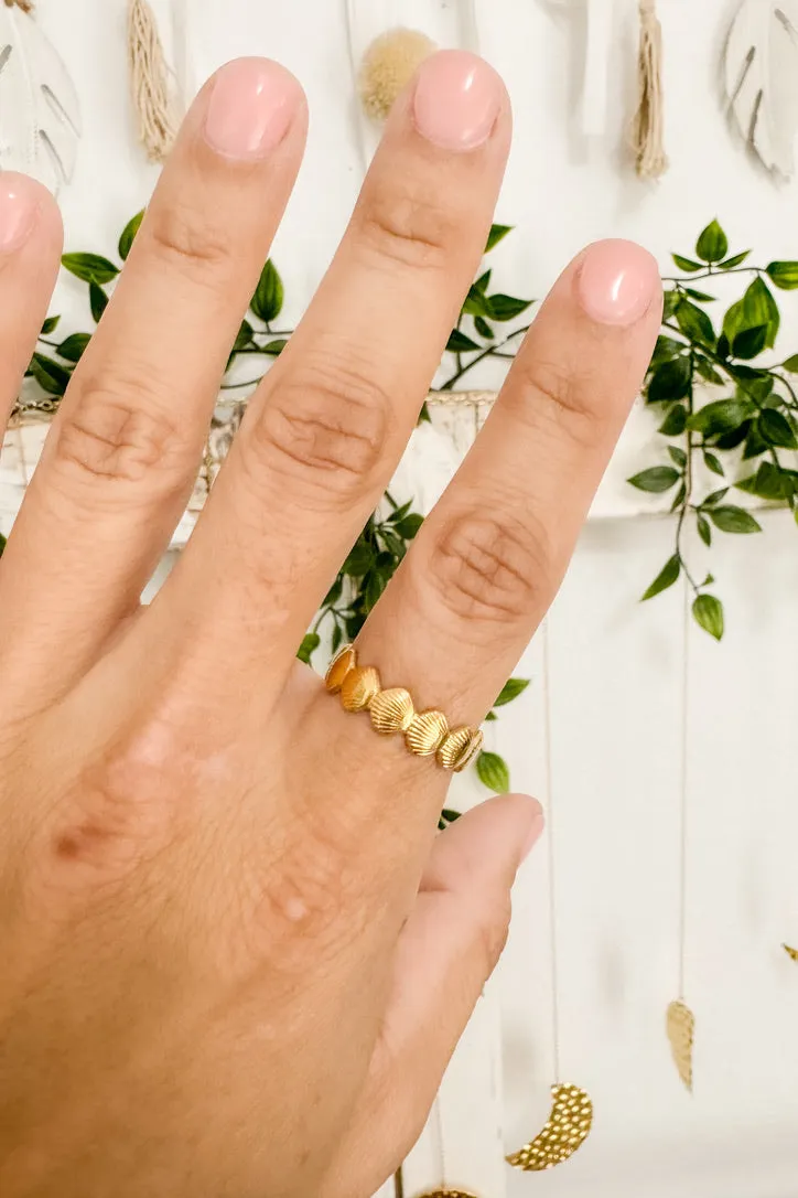 18K Goddess Aphrodite/Venus Shell Ring with Affirmation Box