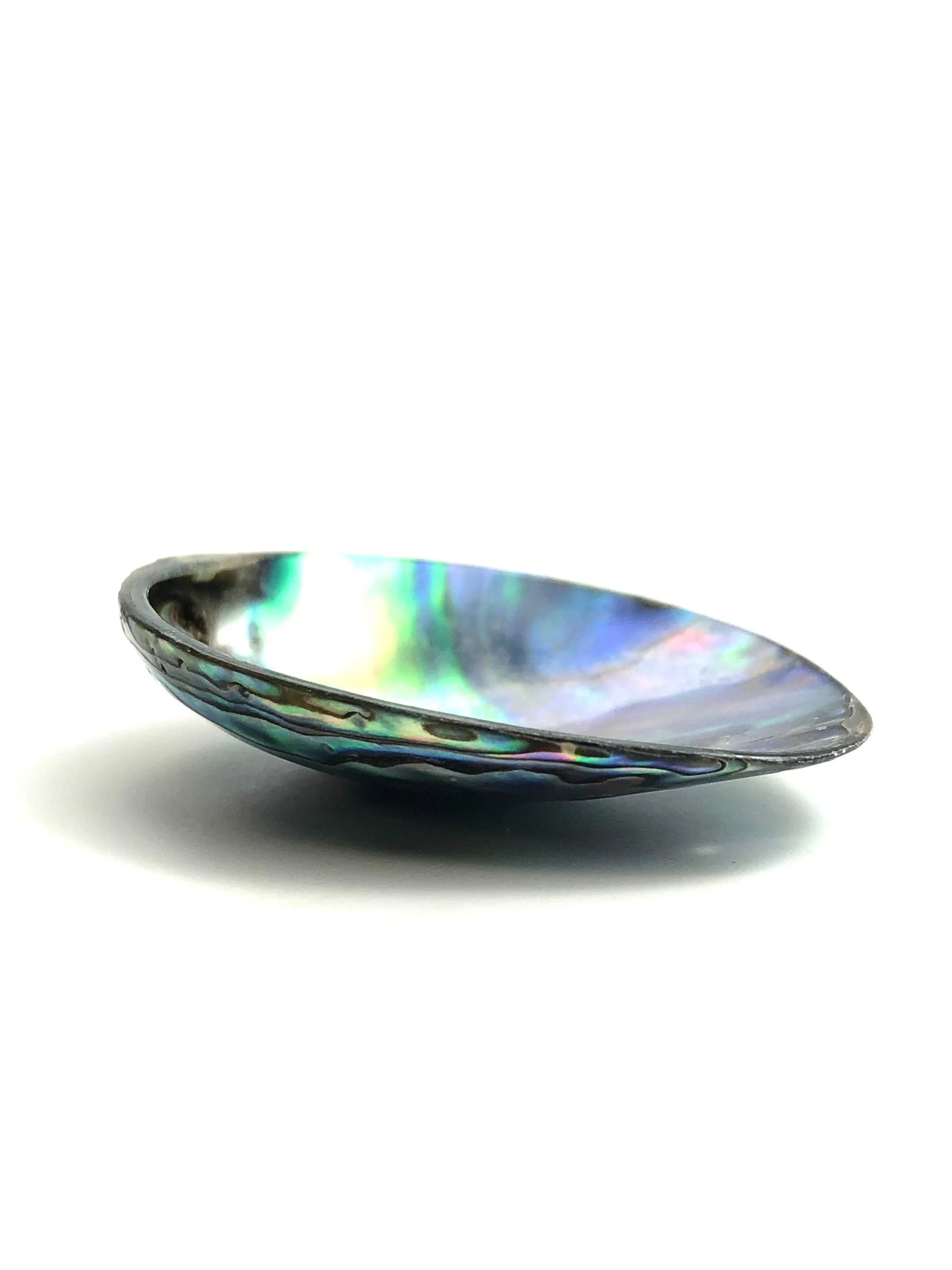 Abalone Mother Of Pearl Beads Sku#M851