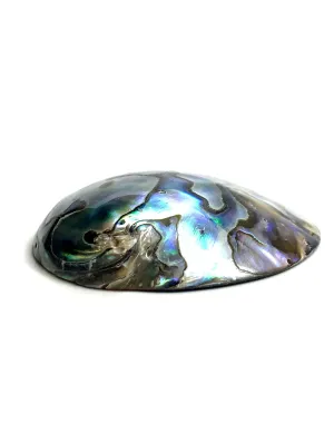 Abalone Mother Of Pearl Beads Sku#M851