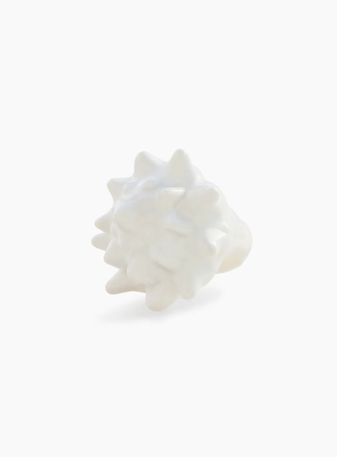 Caracola Blanca