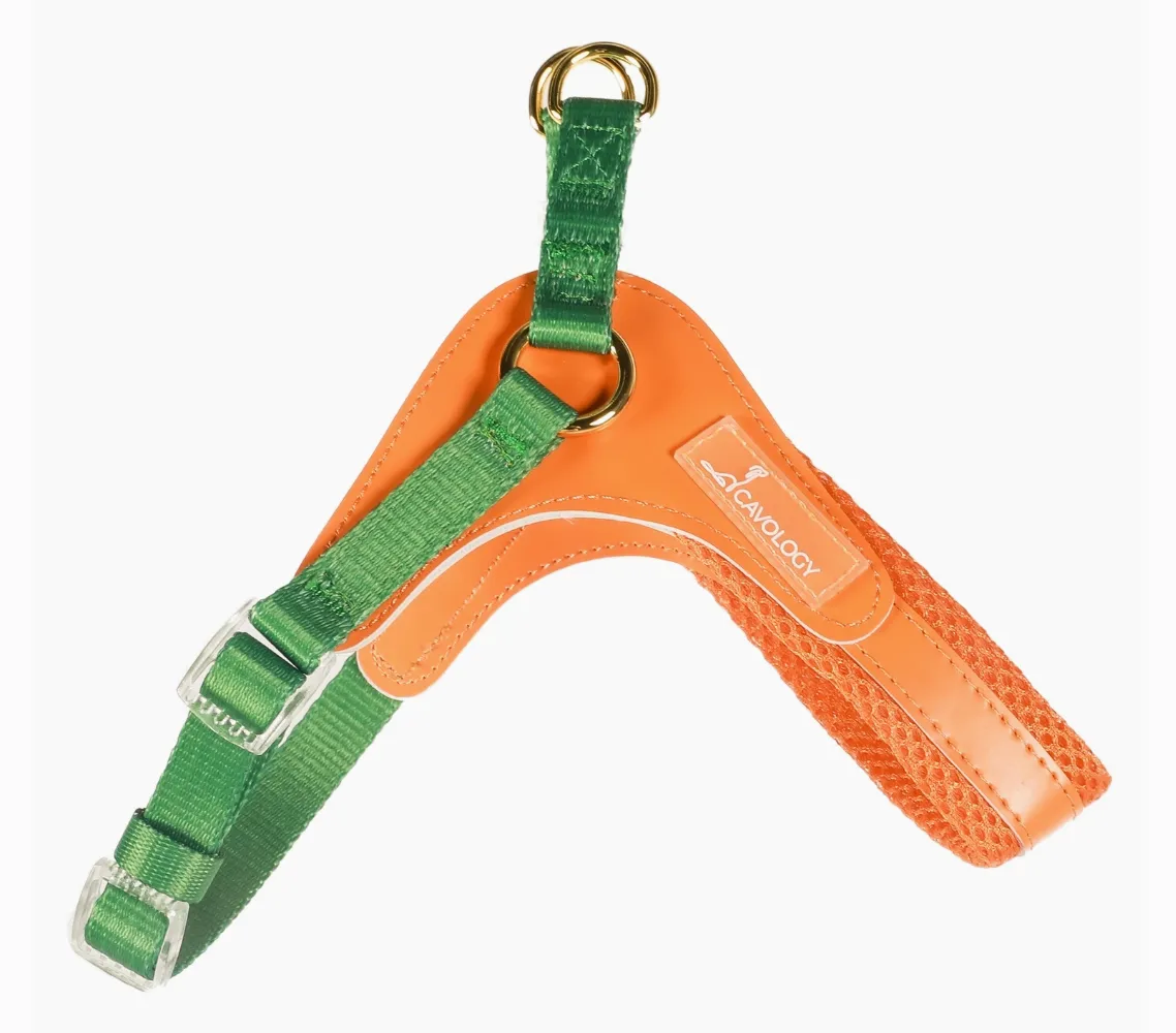 Cavology Step-In Mesh Dog Harness