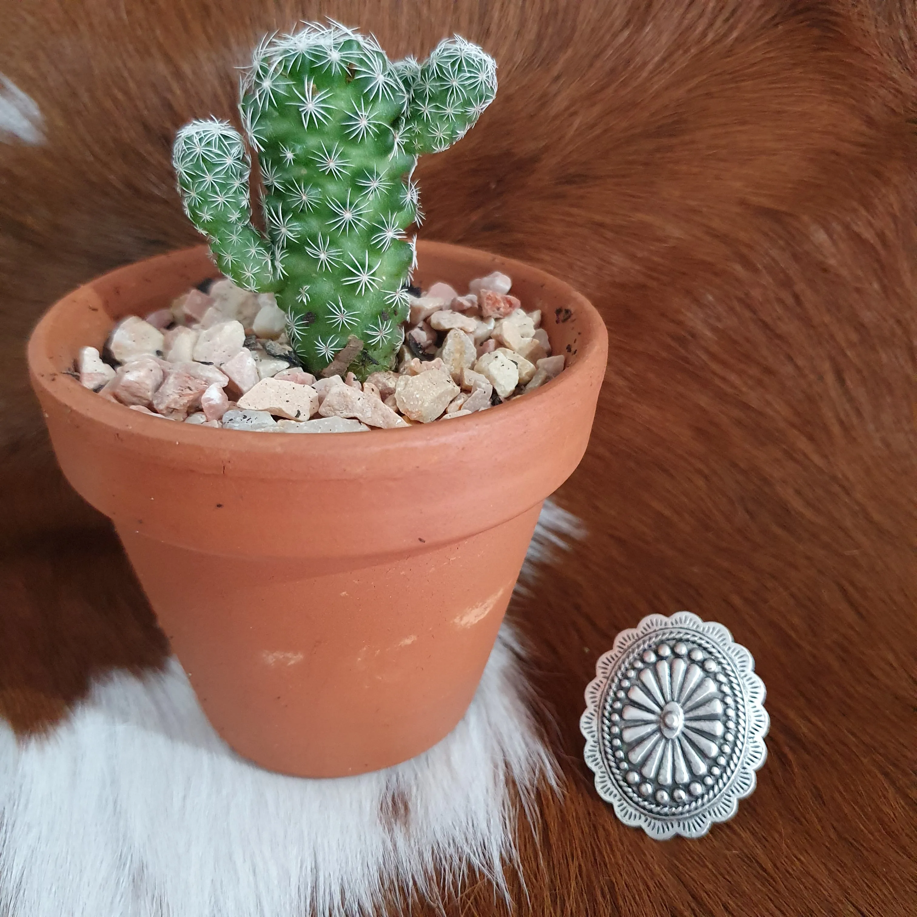 Concho Statement Ring