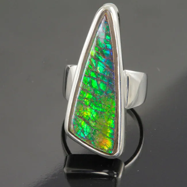 Fossilized Ammolite Ring in Sterling Silver