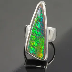 Fossilized Ammolite Ring in Sterling Silver