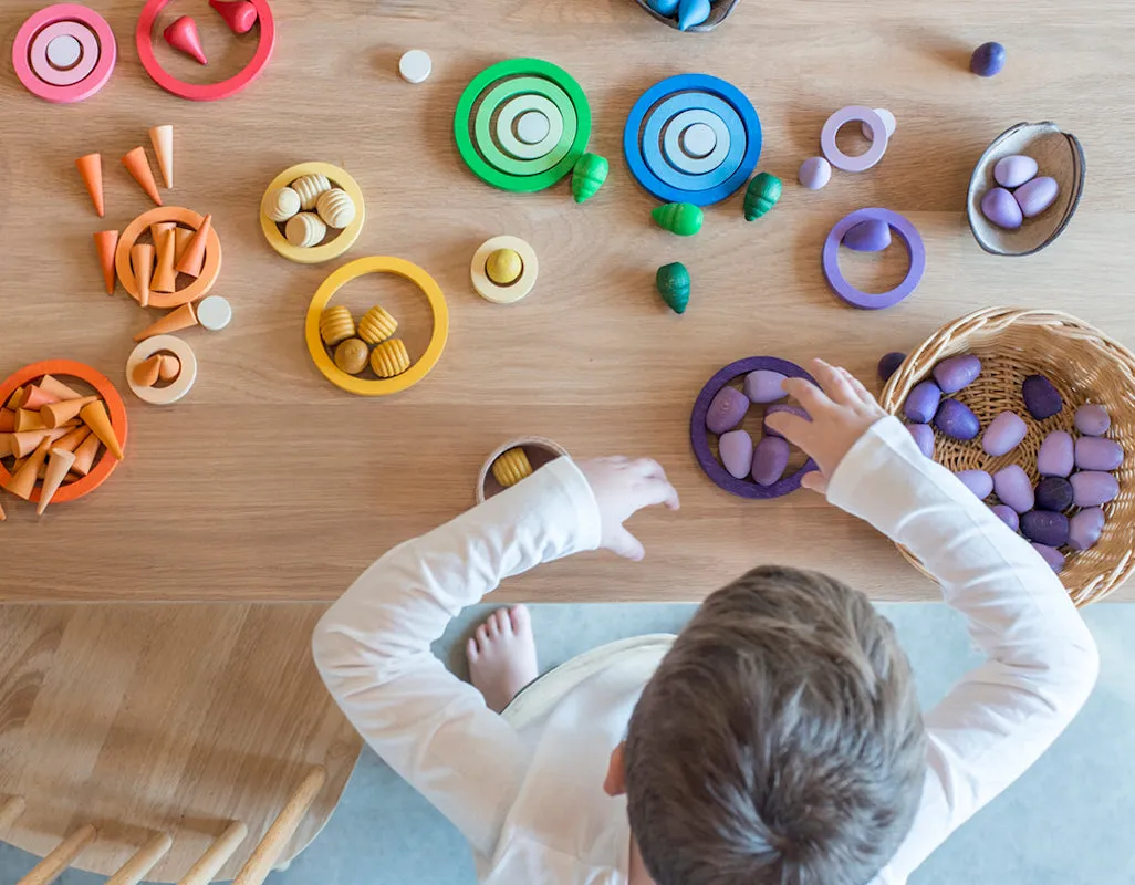 Grapat Nest Rings 24pcs Games for Kids Math Games for Kids for 3yrs 