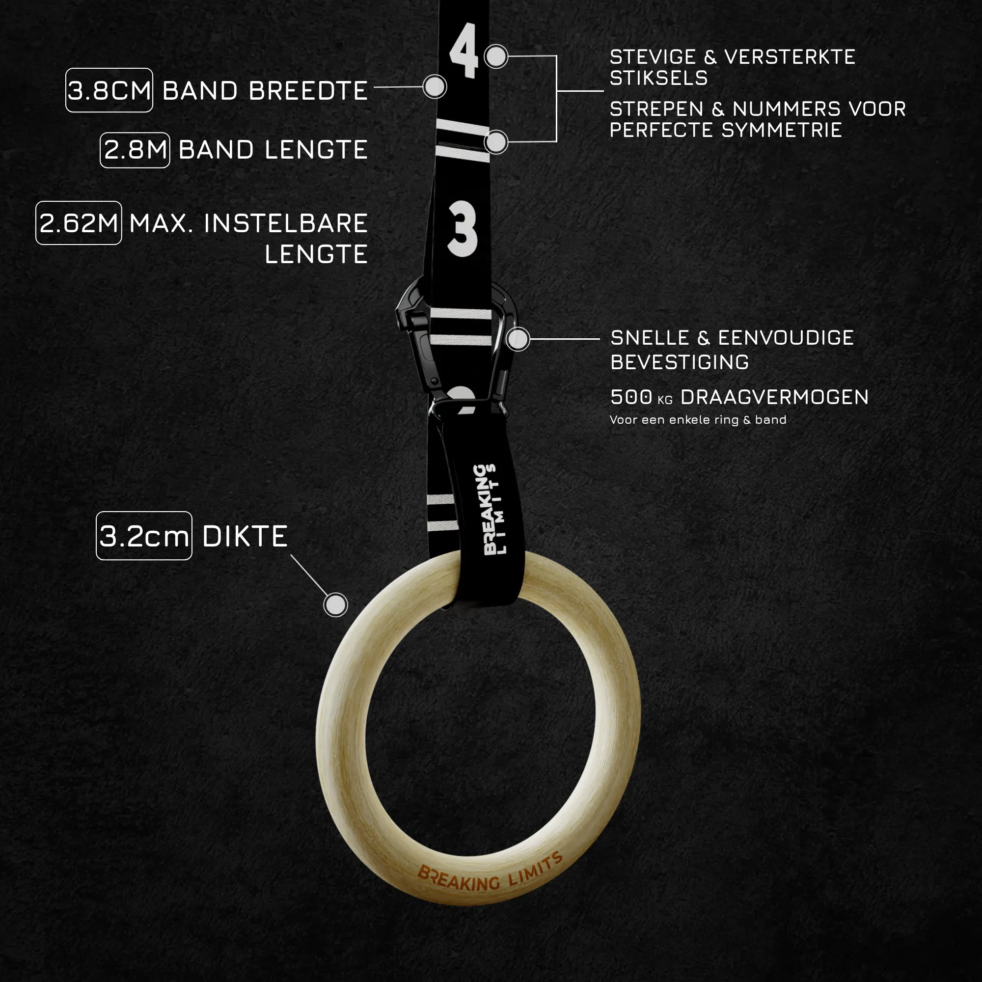 Gymnastic Rings