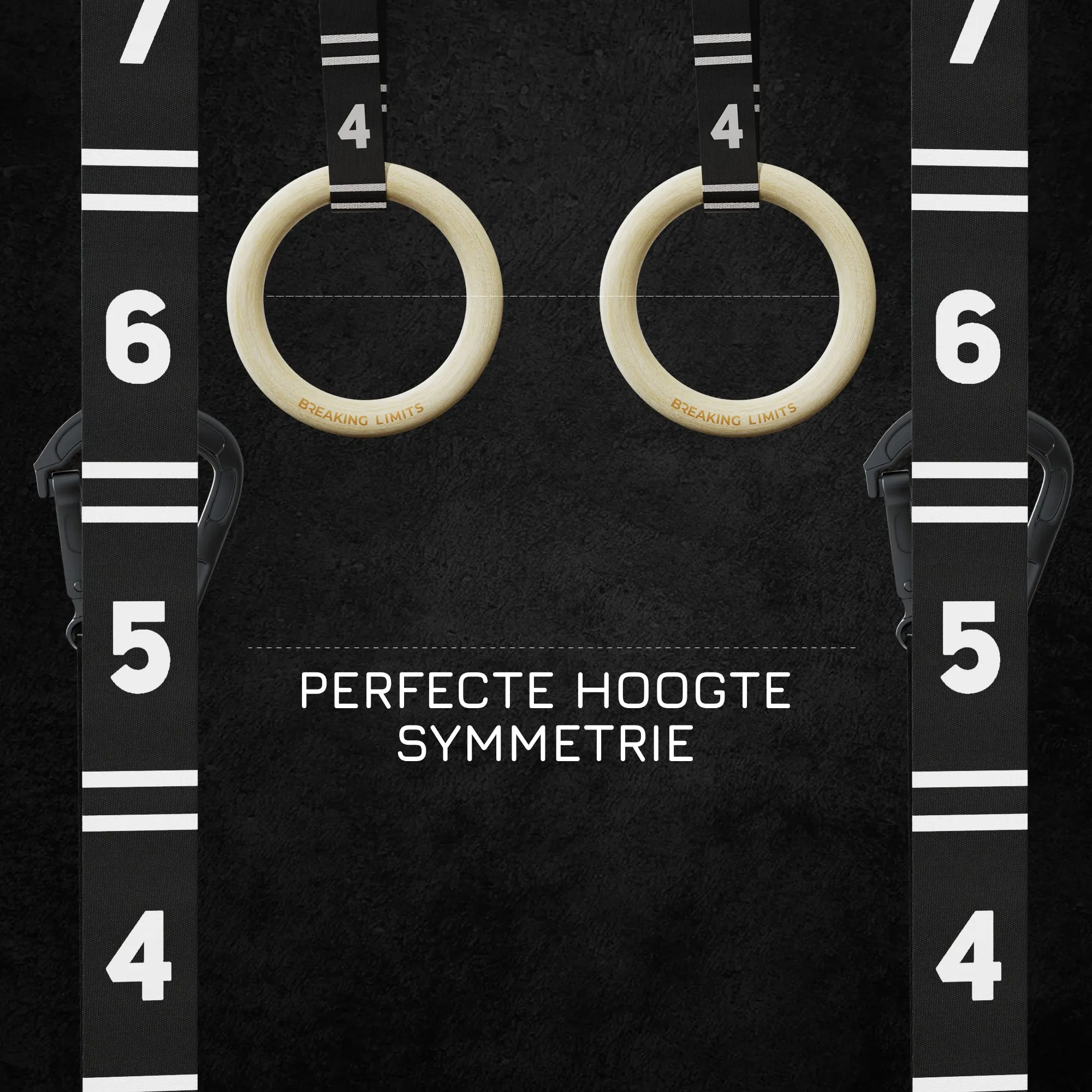 Gymnastic Rings