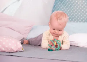 Hape Apple Grab Toy