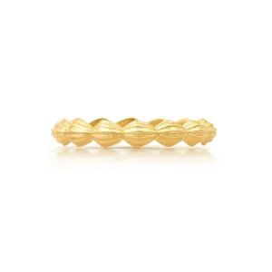 Harp Shell Band