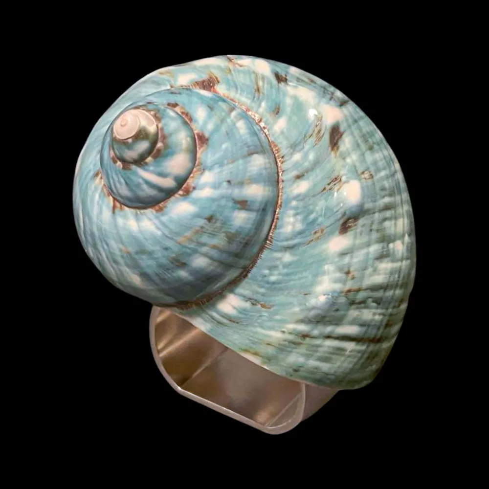 Large Jade Turbo Turbo Shell Napkin Ring | Set of 4