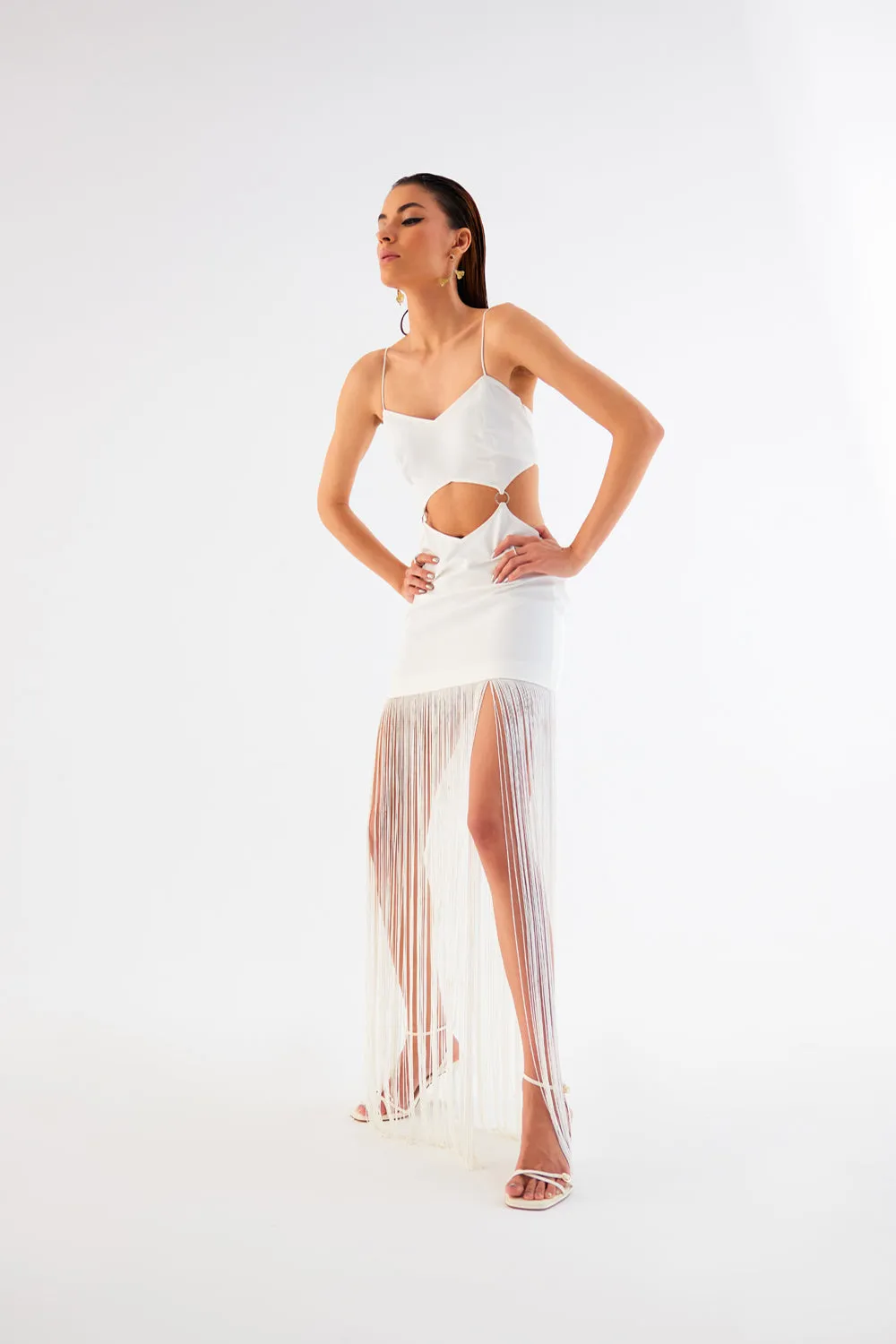 Mini Fringe Dress