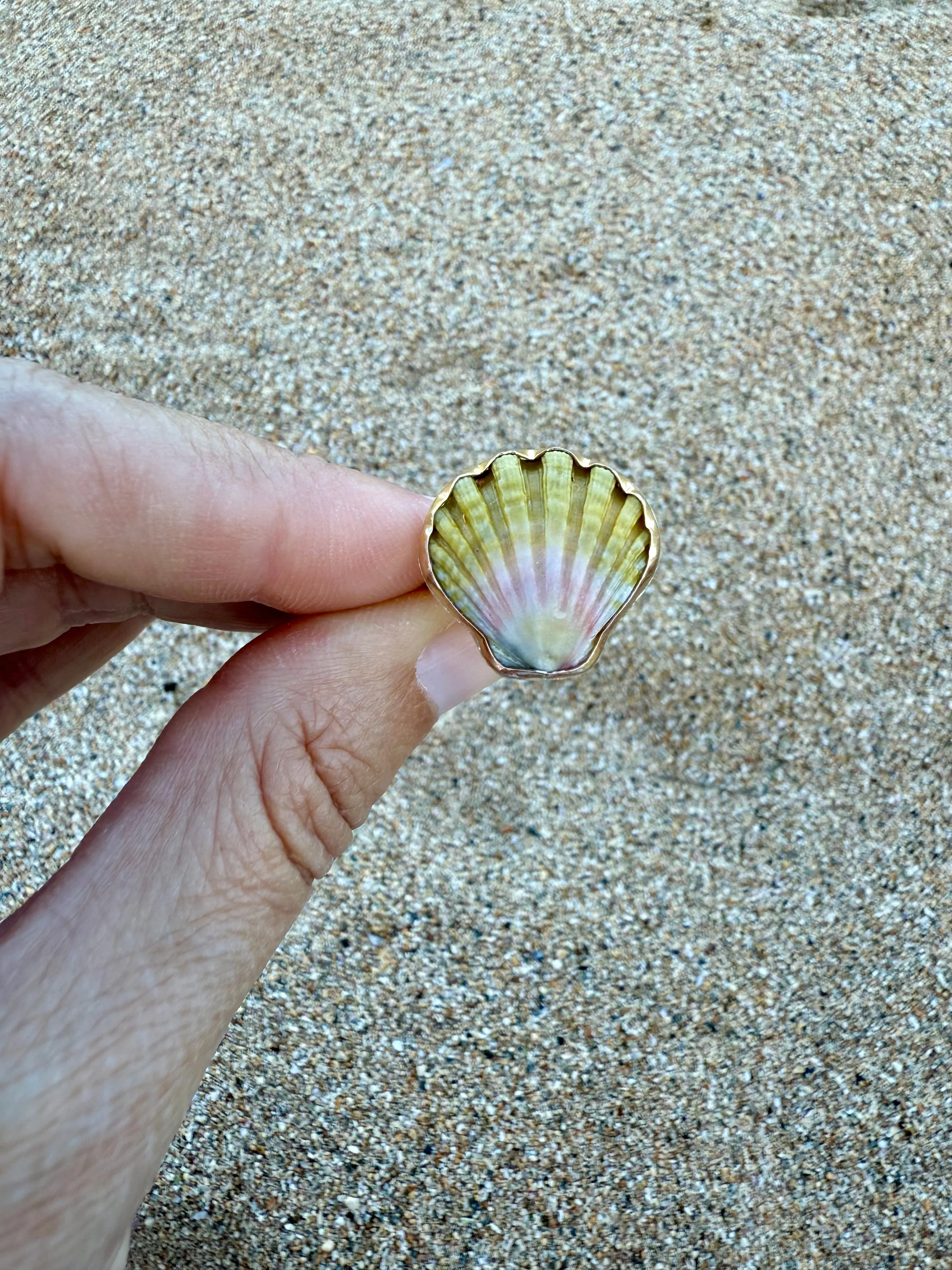 Moonrise Shell Rings in Gold Fill