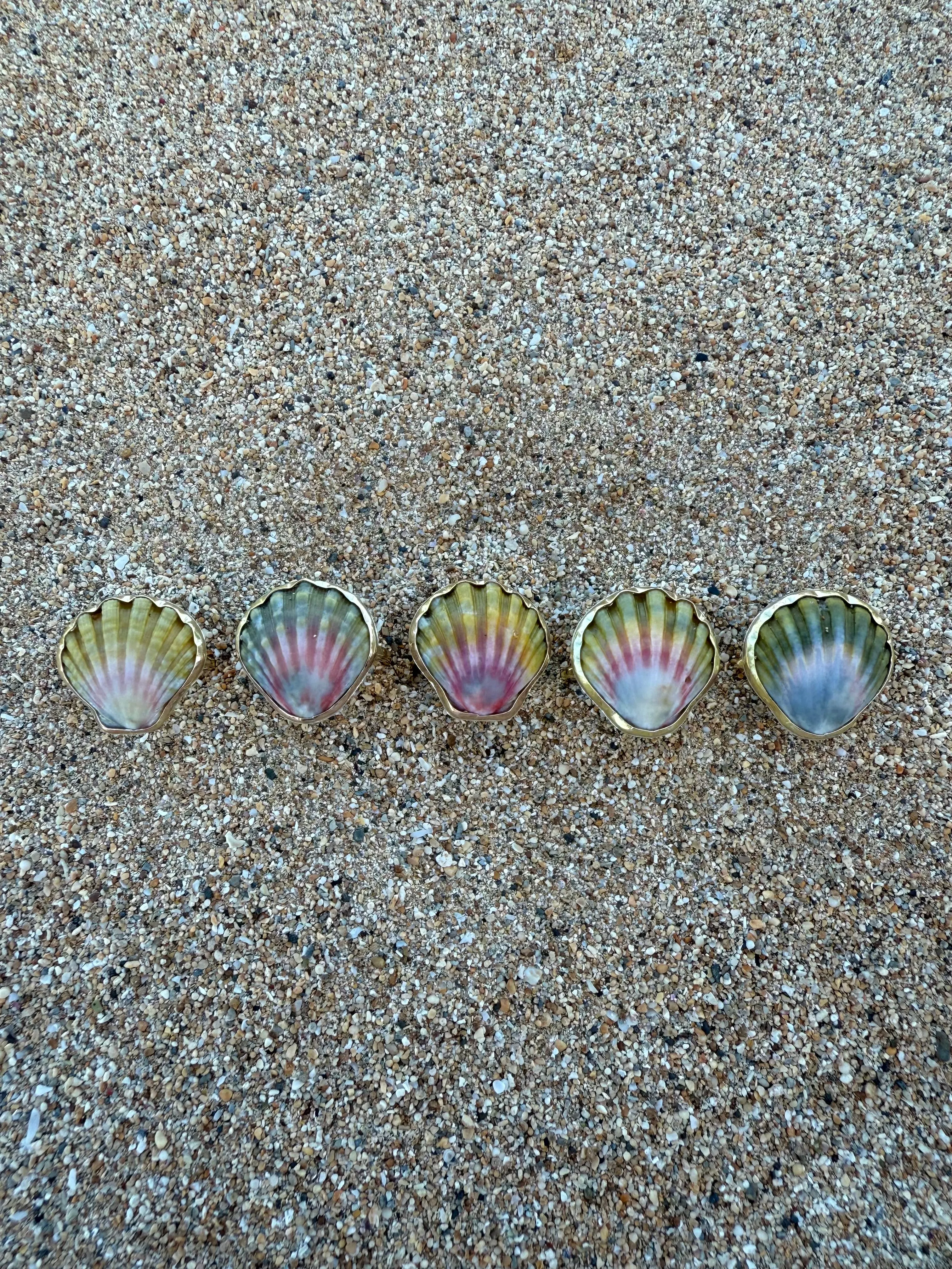 Moonrise Shell Rings in Gold Fill