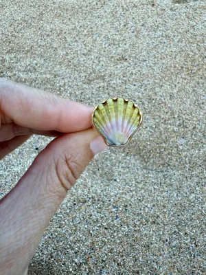 Moonrise Shell Rings in Gold Fill