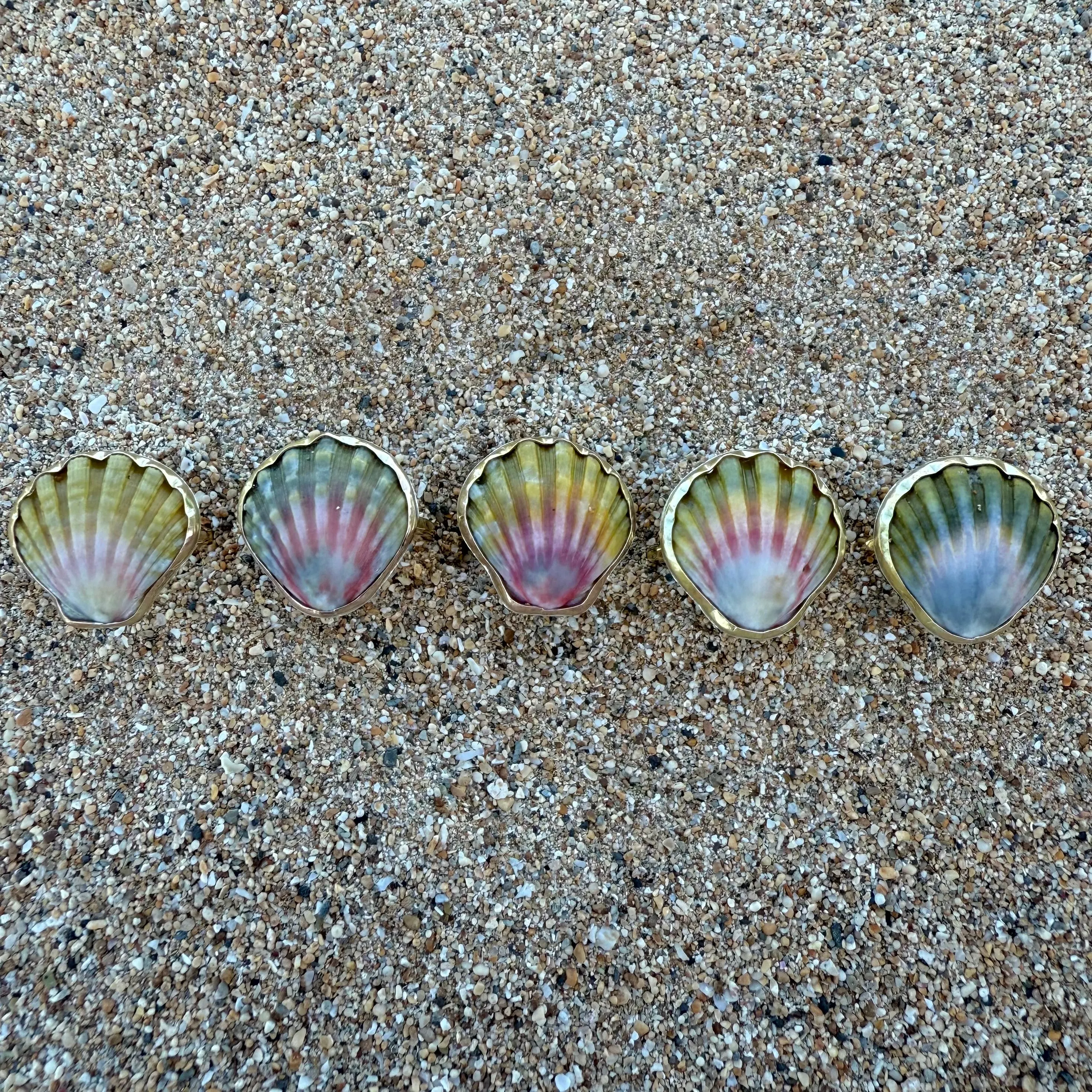 Moonrise Shell Rings in Gold Fill