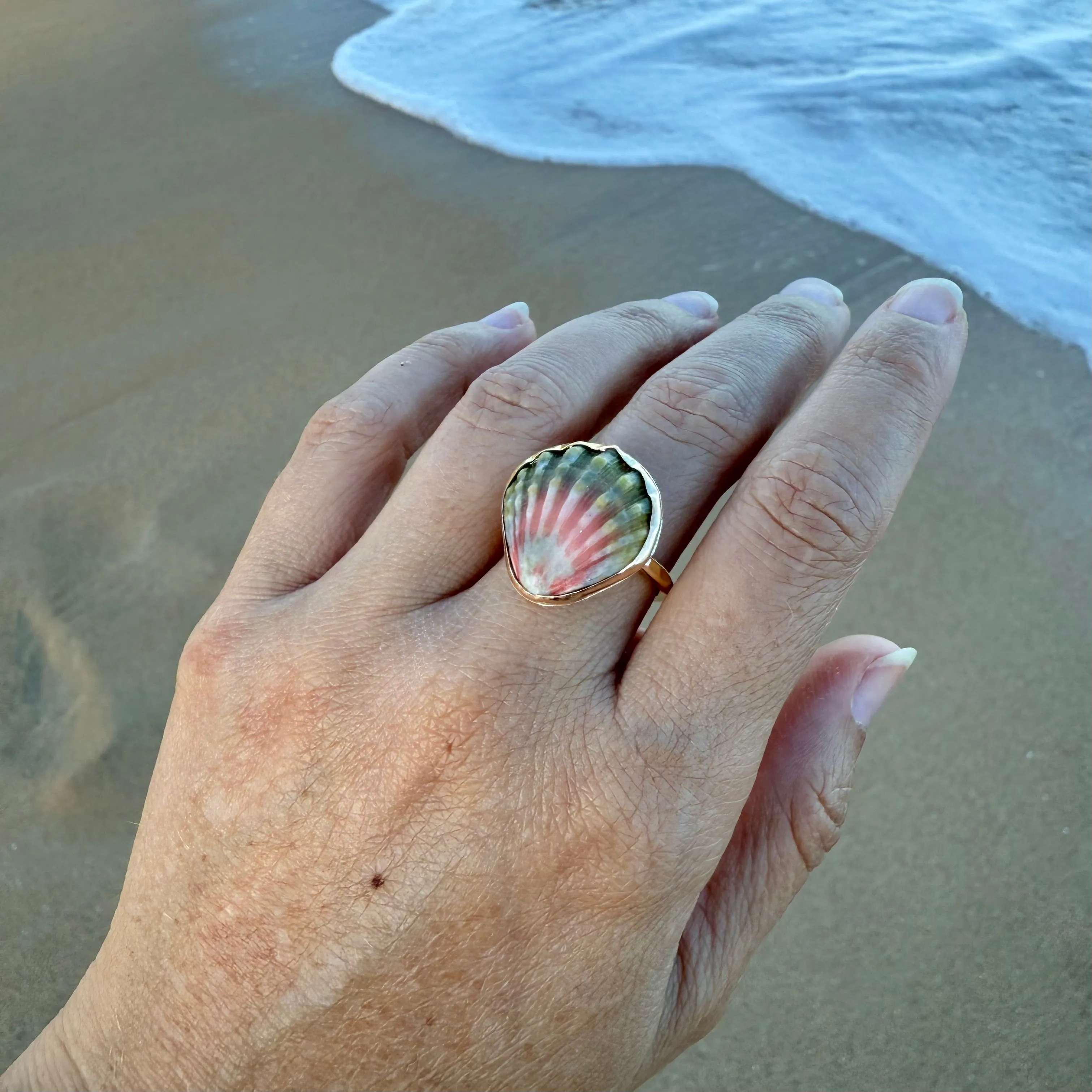 Moonrise Shell Rings in Gold Fill