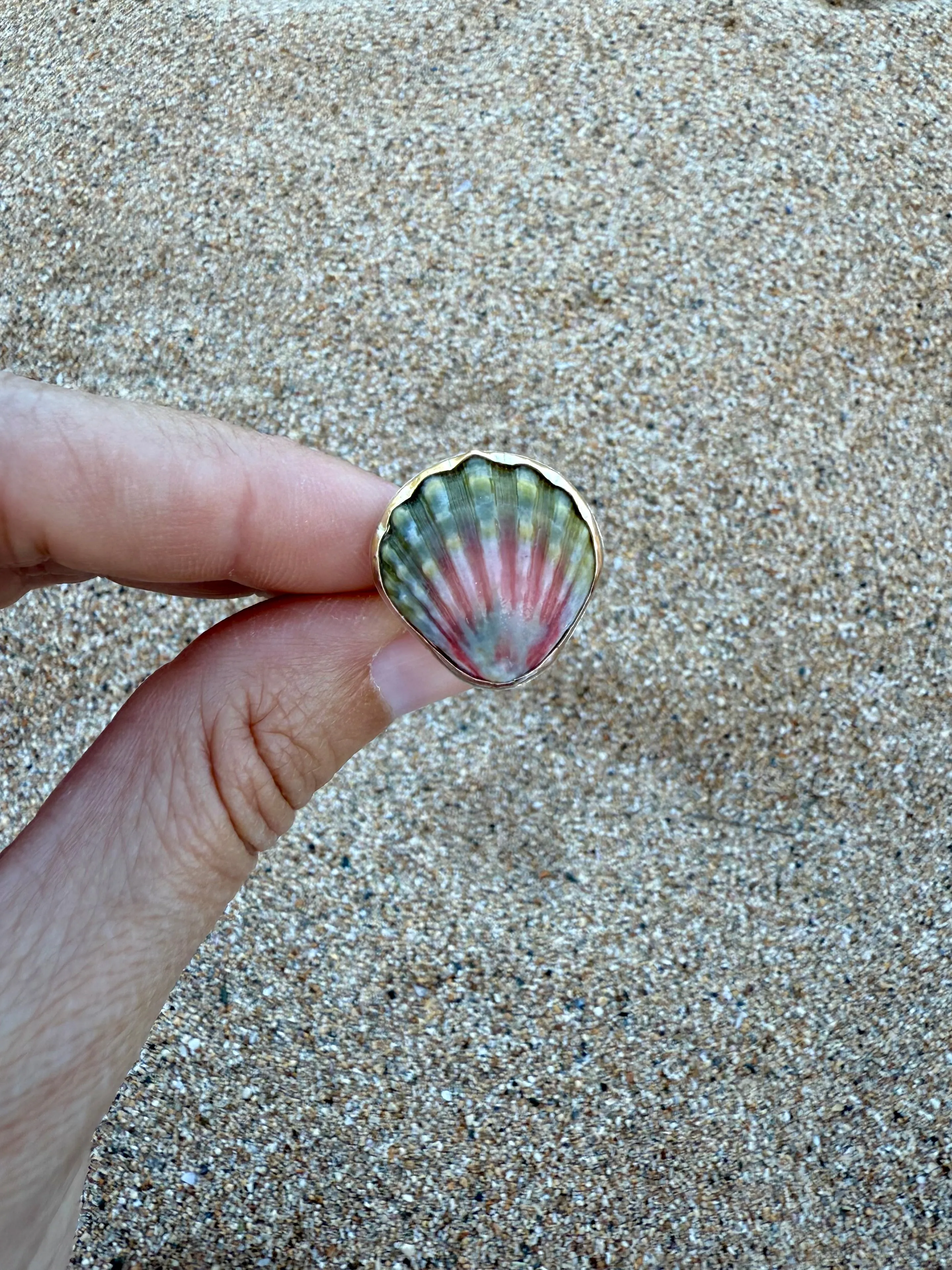 Moonrise Shell Rings in Gold Fill