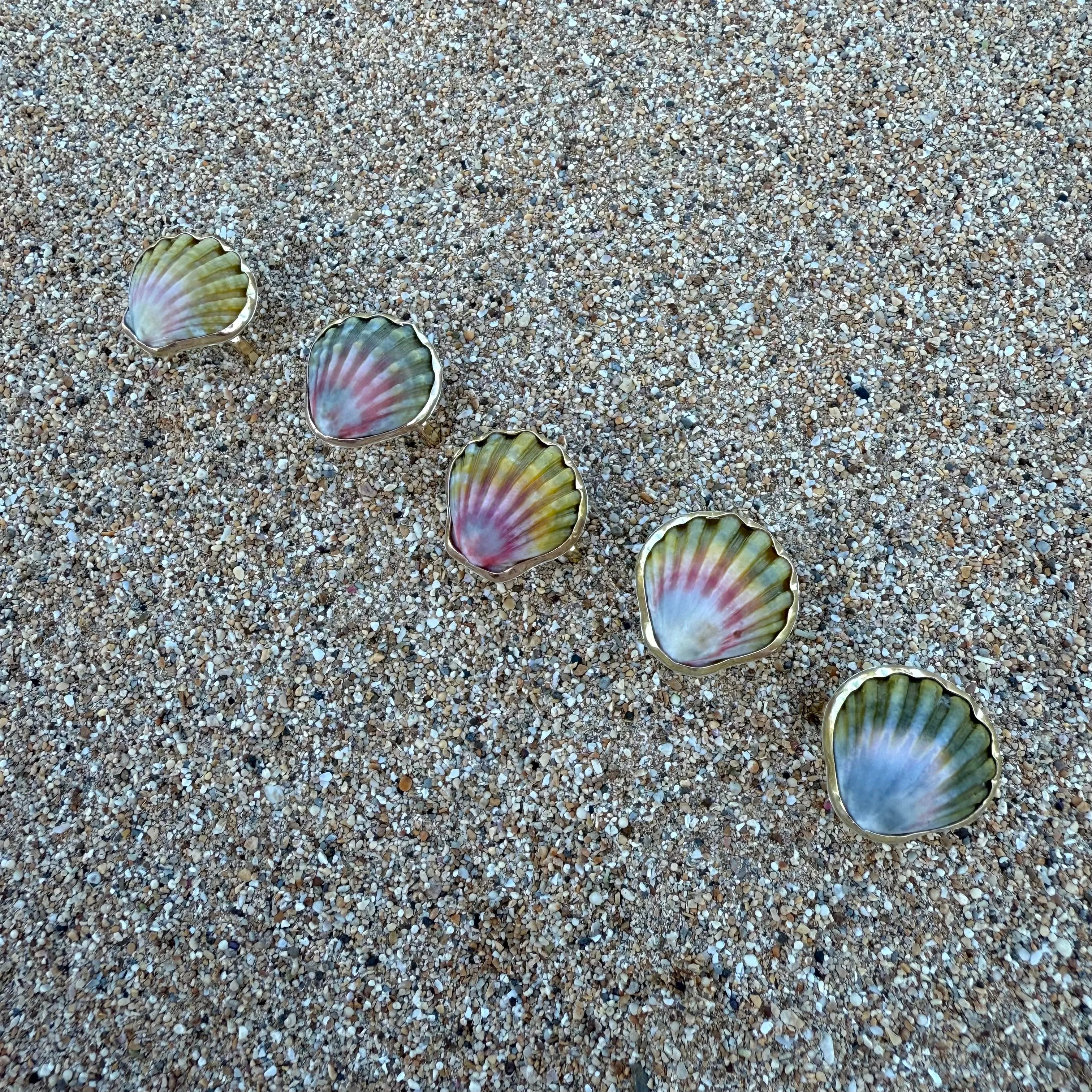 Moonrise Shell Rings in Gold Fill