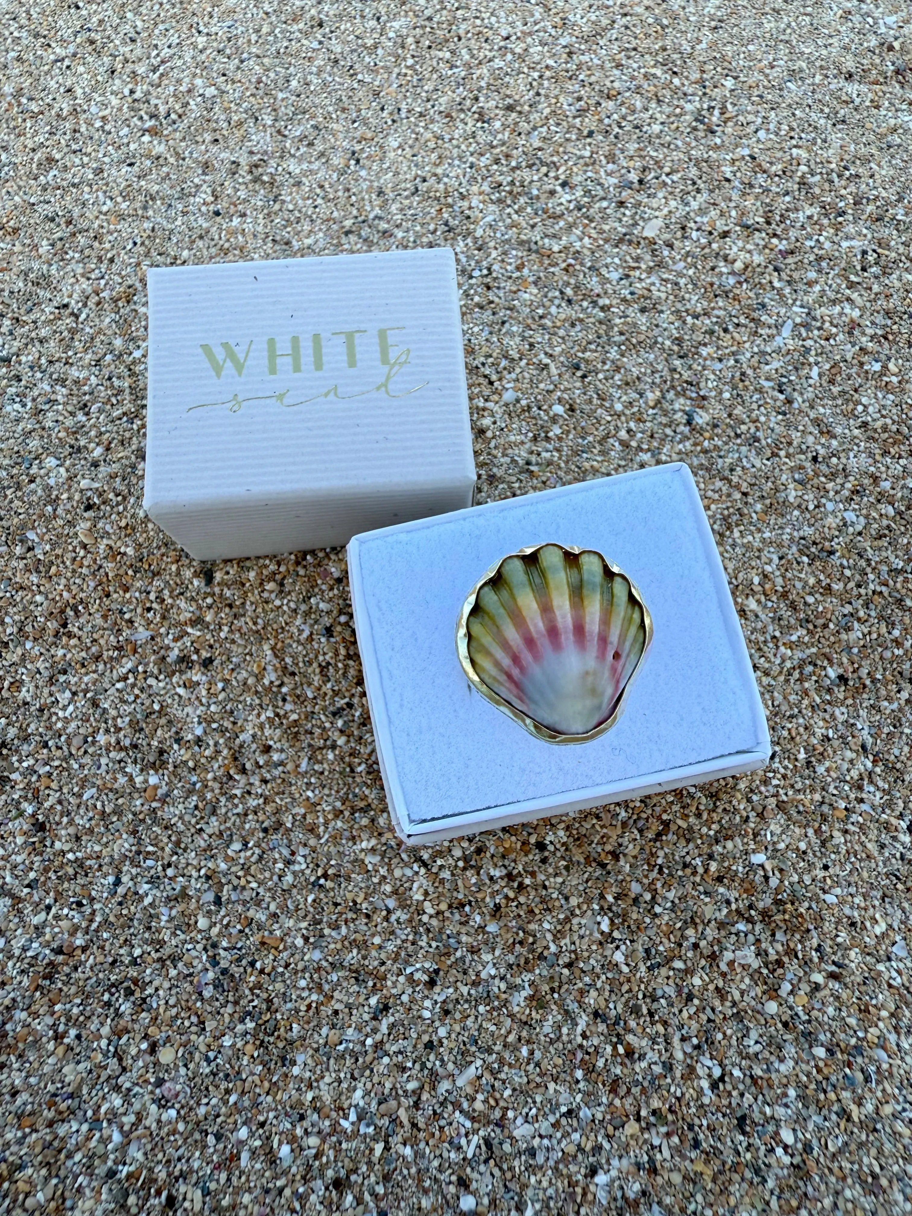 Moonrise Shell Rings in Gold Fill