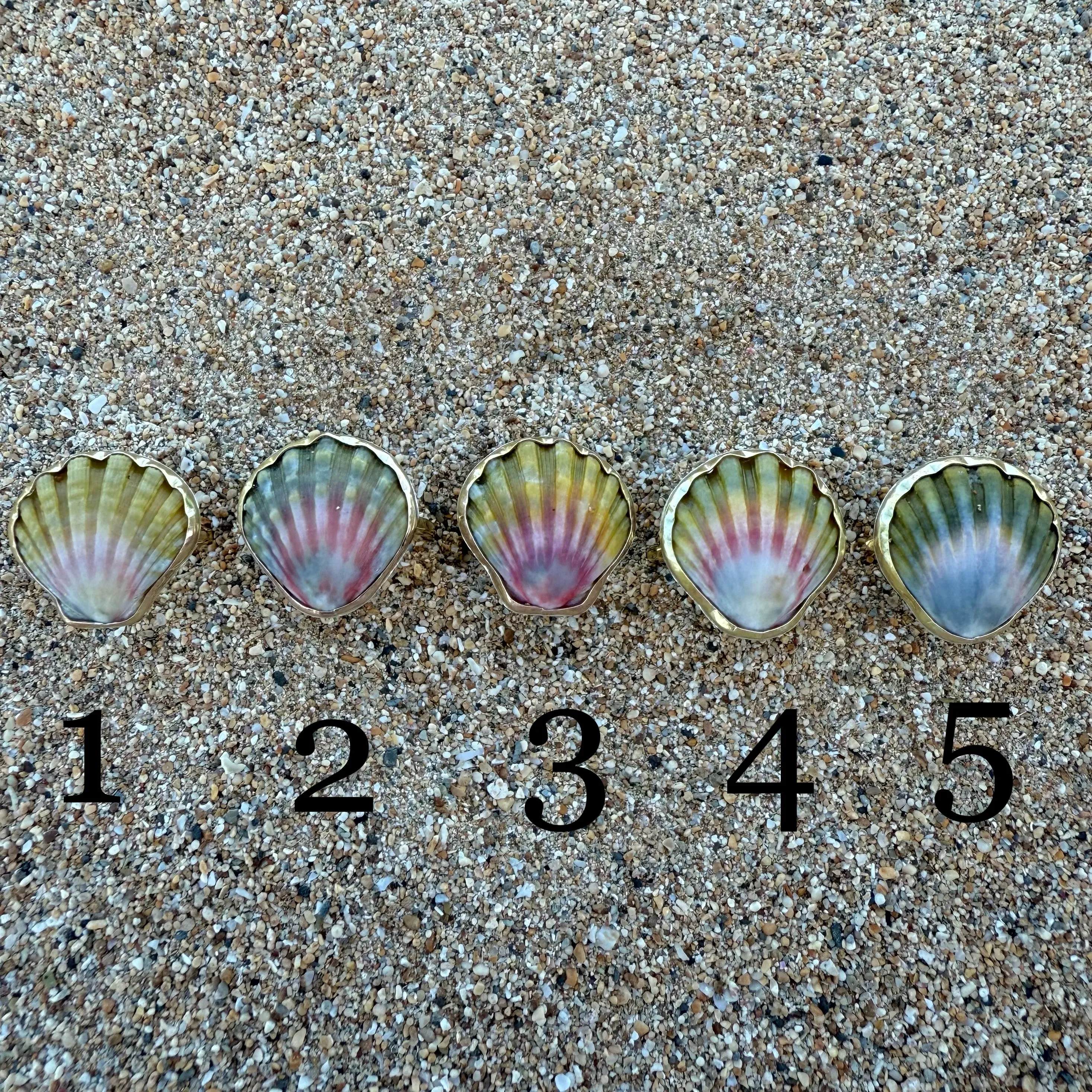 Moonrise Shell Rings in Gold Fill