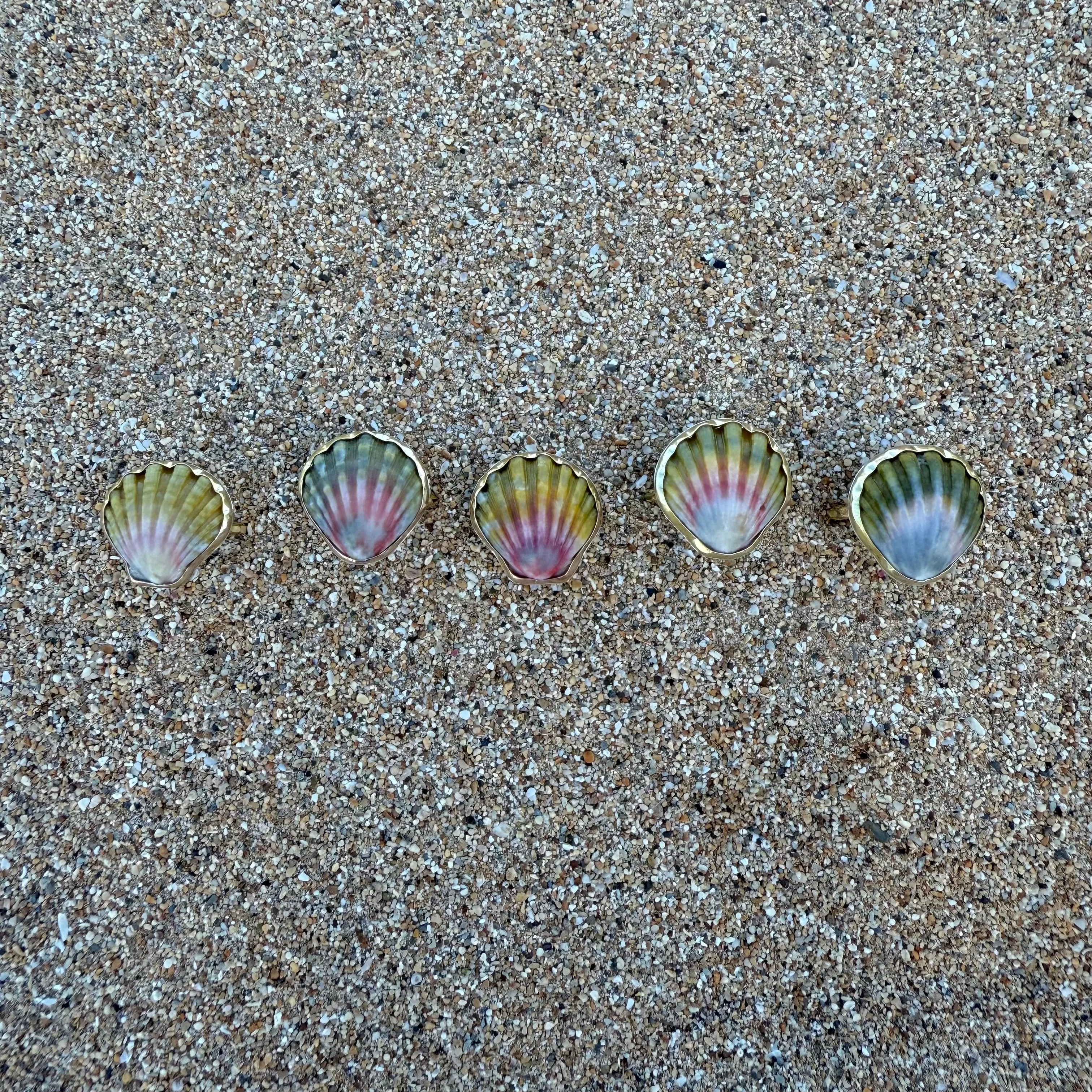Moonrise Shell Rings in Gold Fill
