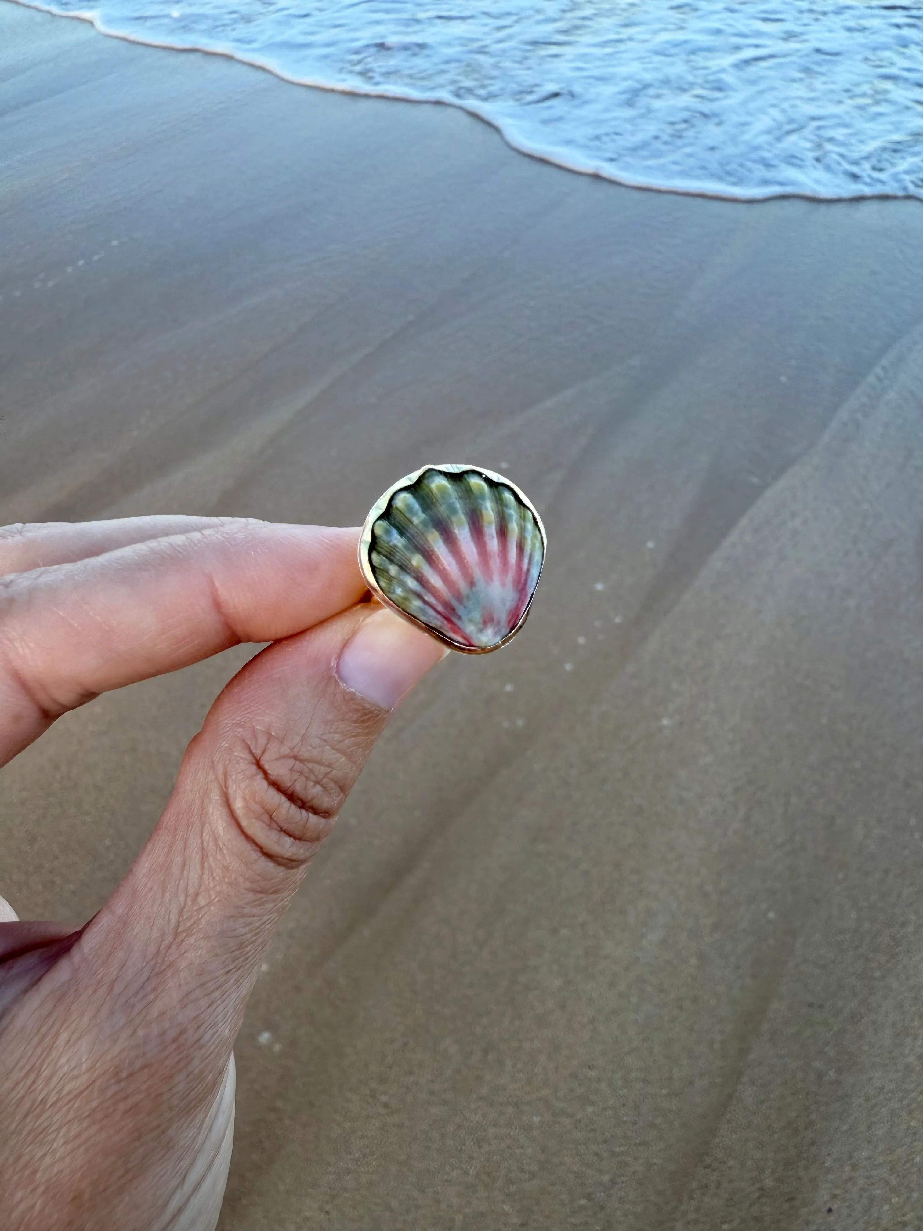 Moonrise Shell Rings in Gold Fill