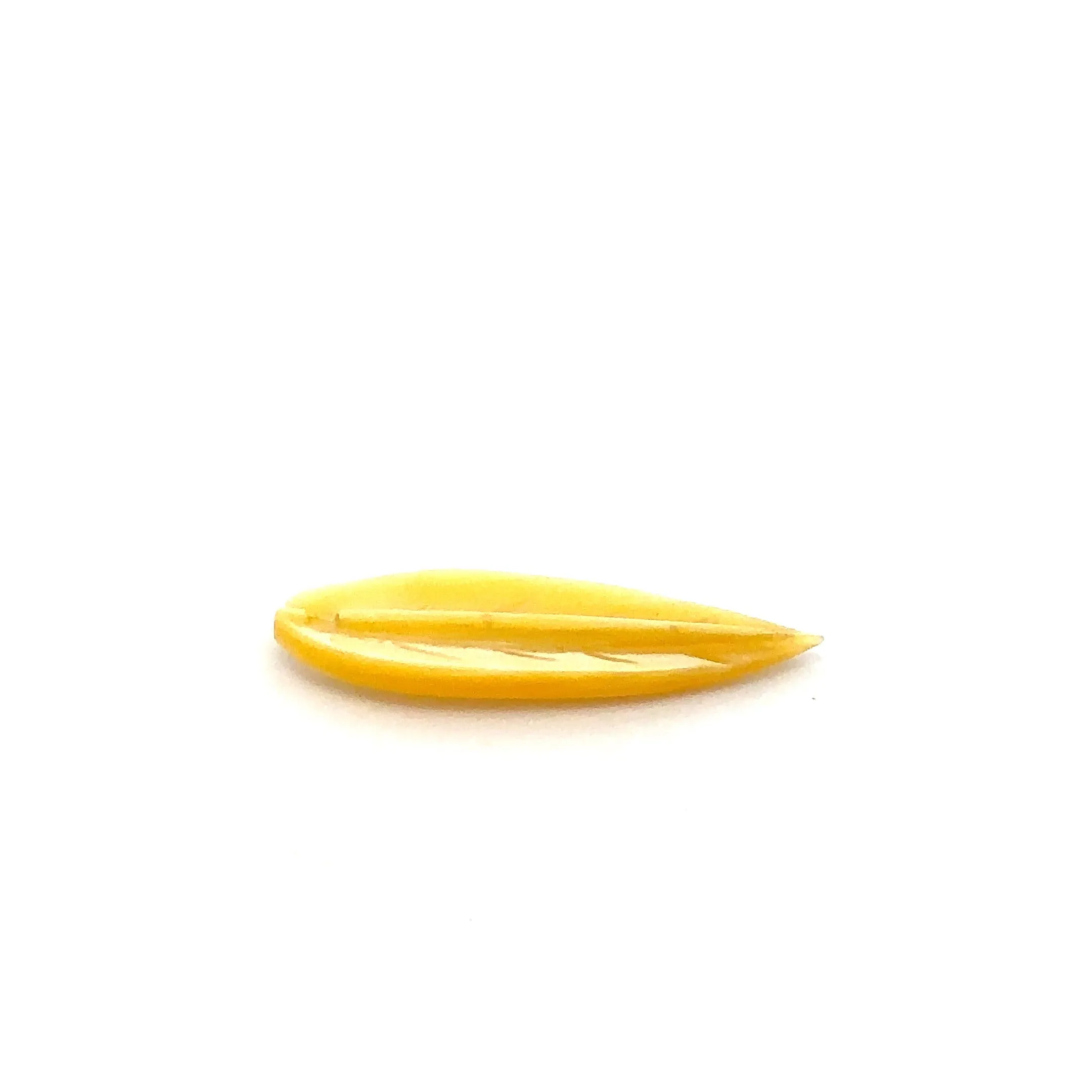 Mother Of Pearl Shell, Sku#M203