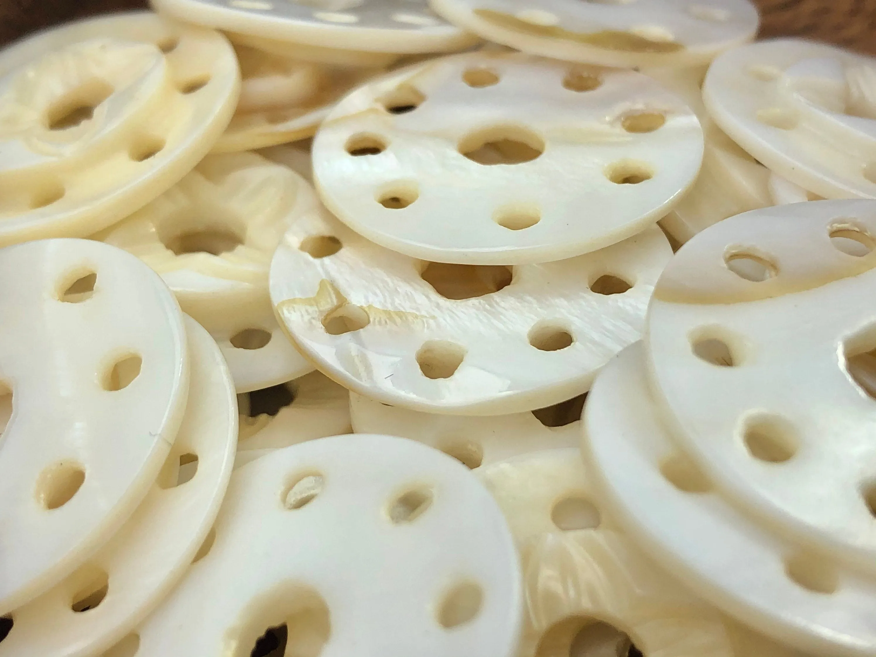 Mother Of Pearl Shell Sku#M567