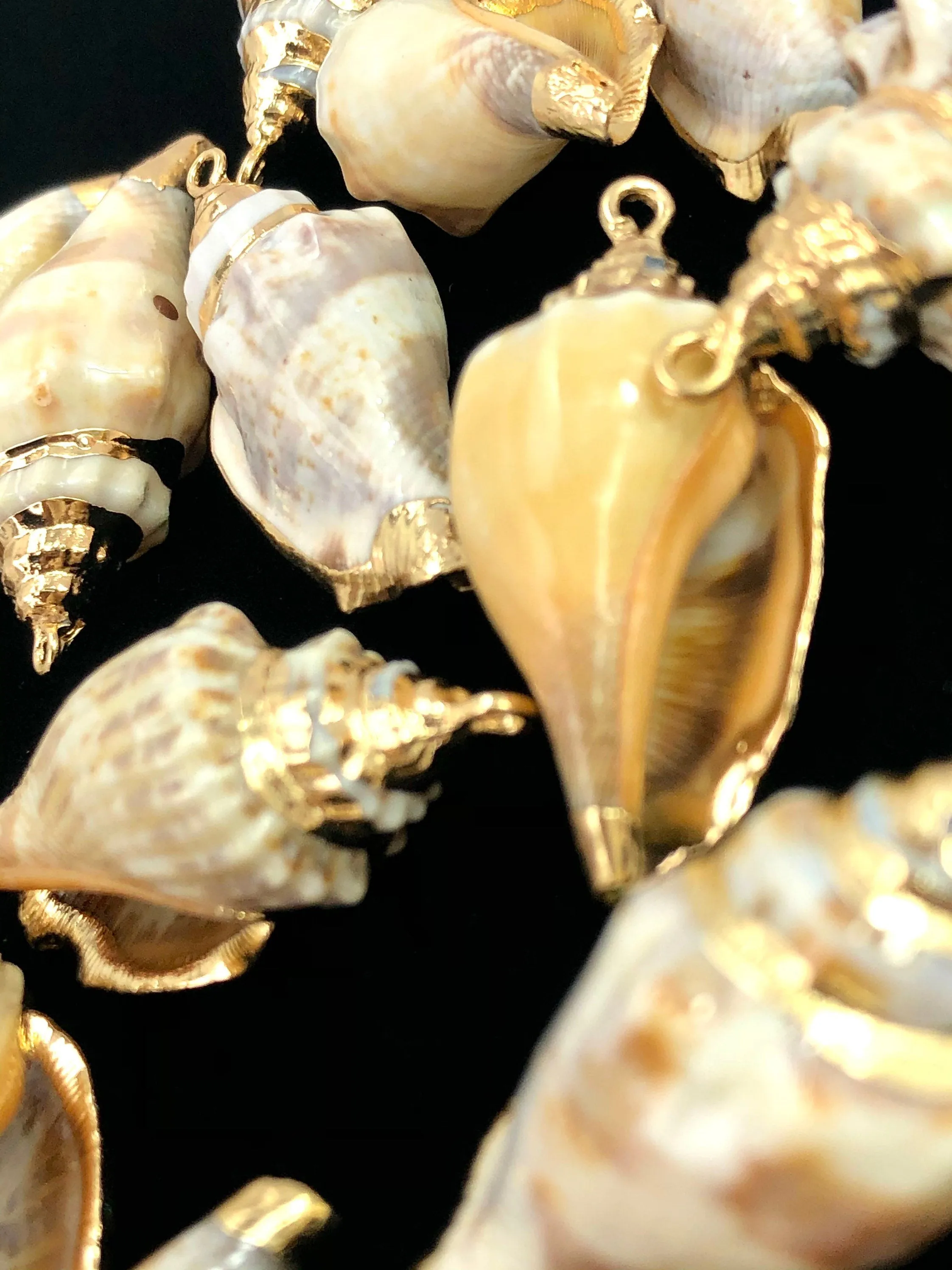 Mother Of Pearl Shell Sku#M645
