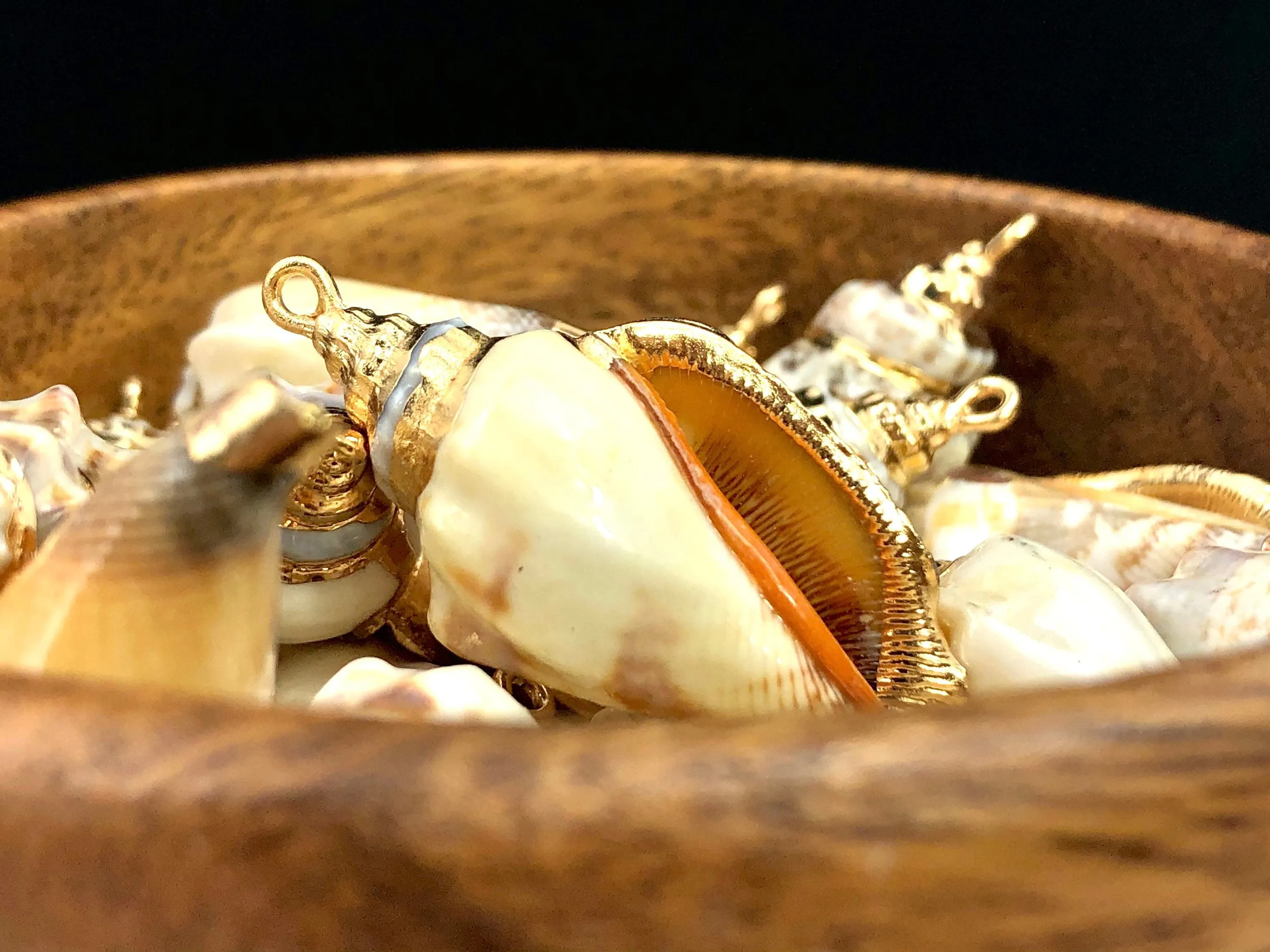 Mother Of Pearl Shell Sku#M645