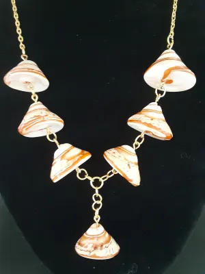 N #154 Went looking for Sea Shells. Found Top Shell Spiral and Conical Shells!!