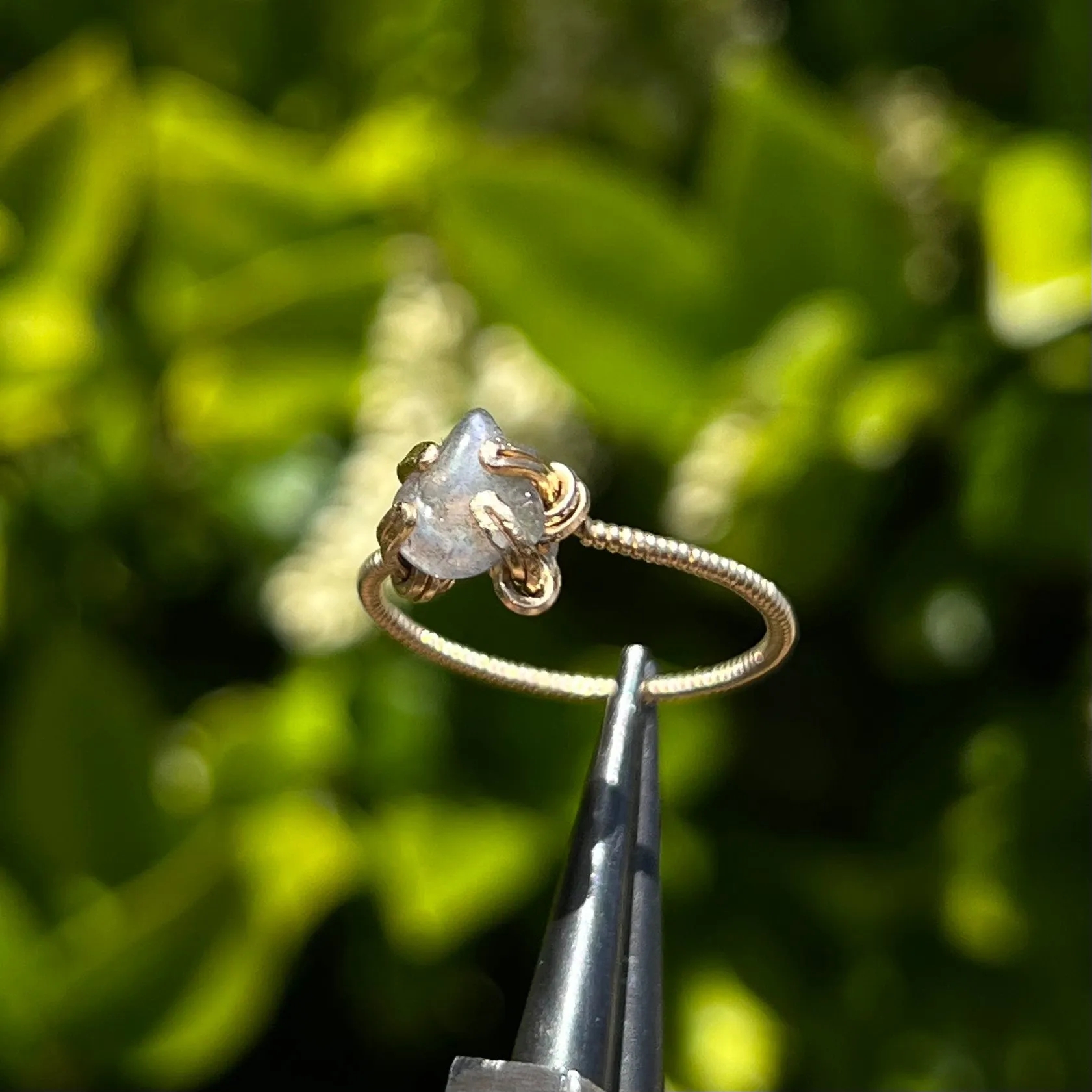 One of a Kind Rings ✵