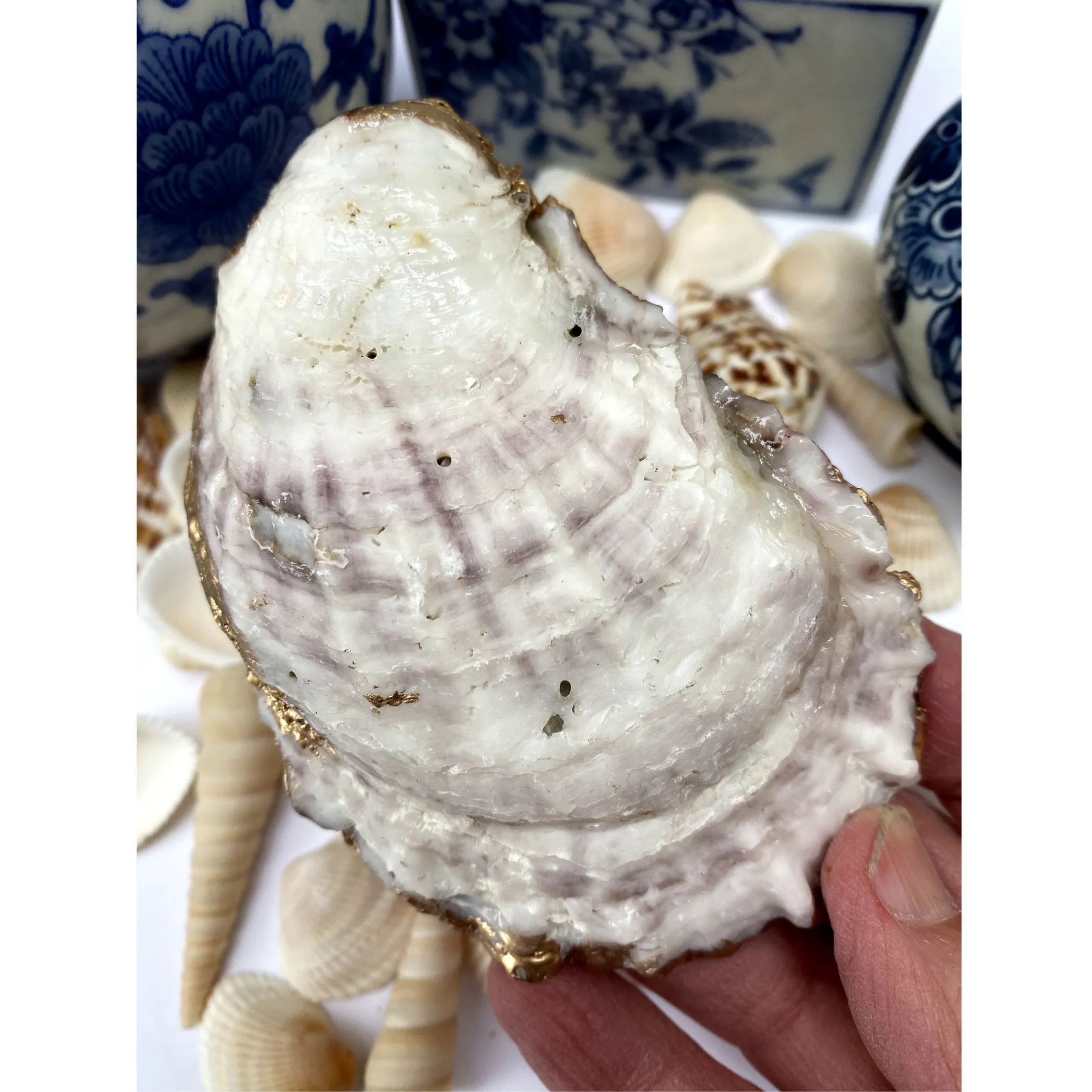 Oyster Shell Art, Jewelry Dish,  Blue White Seigaiha Design
