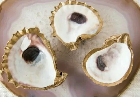 Oyster Shell Jewelry Dishes