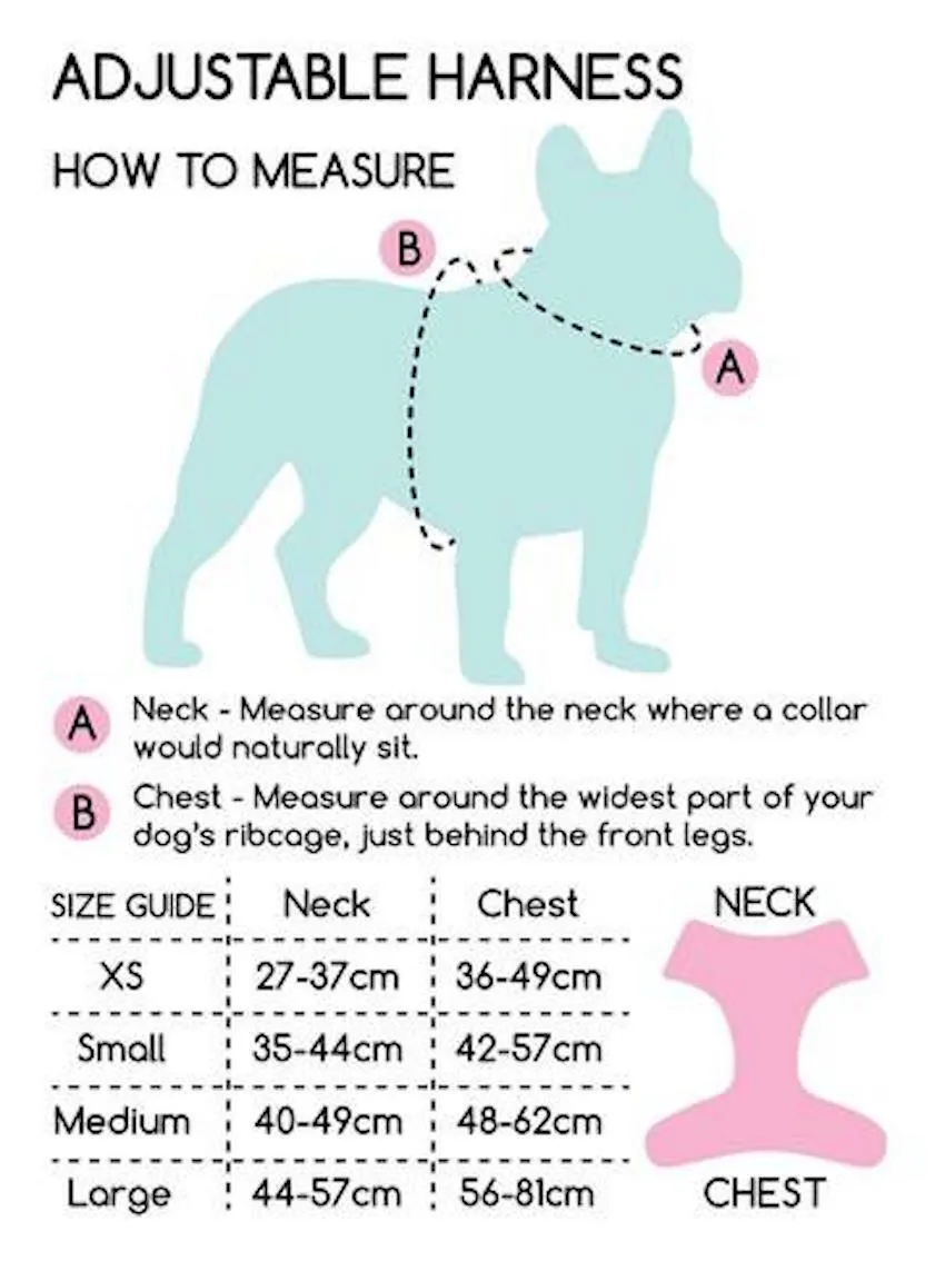 Pawsome Paws Boutique - D-Ring Adjustable Dog Harness – Dinky Dino