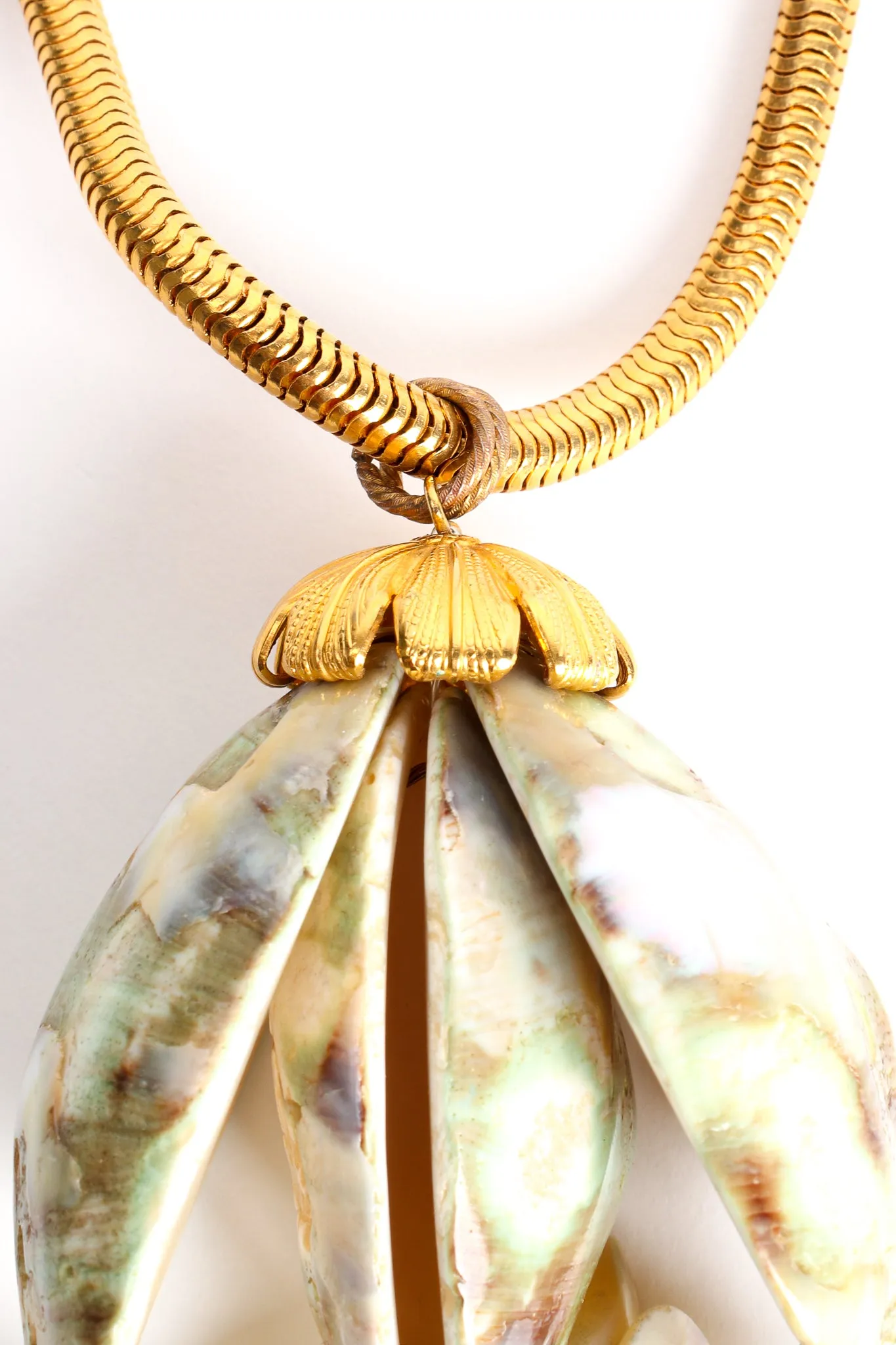 Polished Shell Pendant Necklace