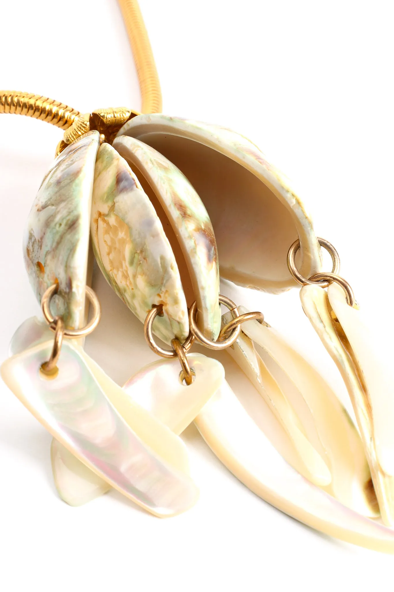 Polished Shell Pendant Necklace