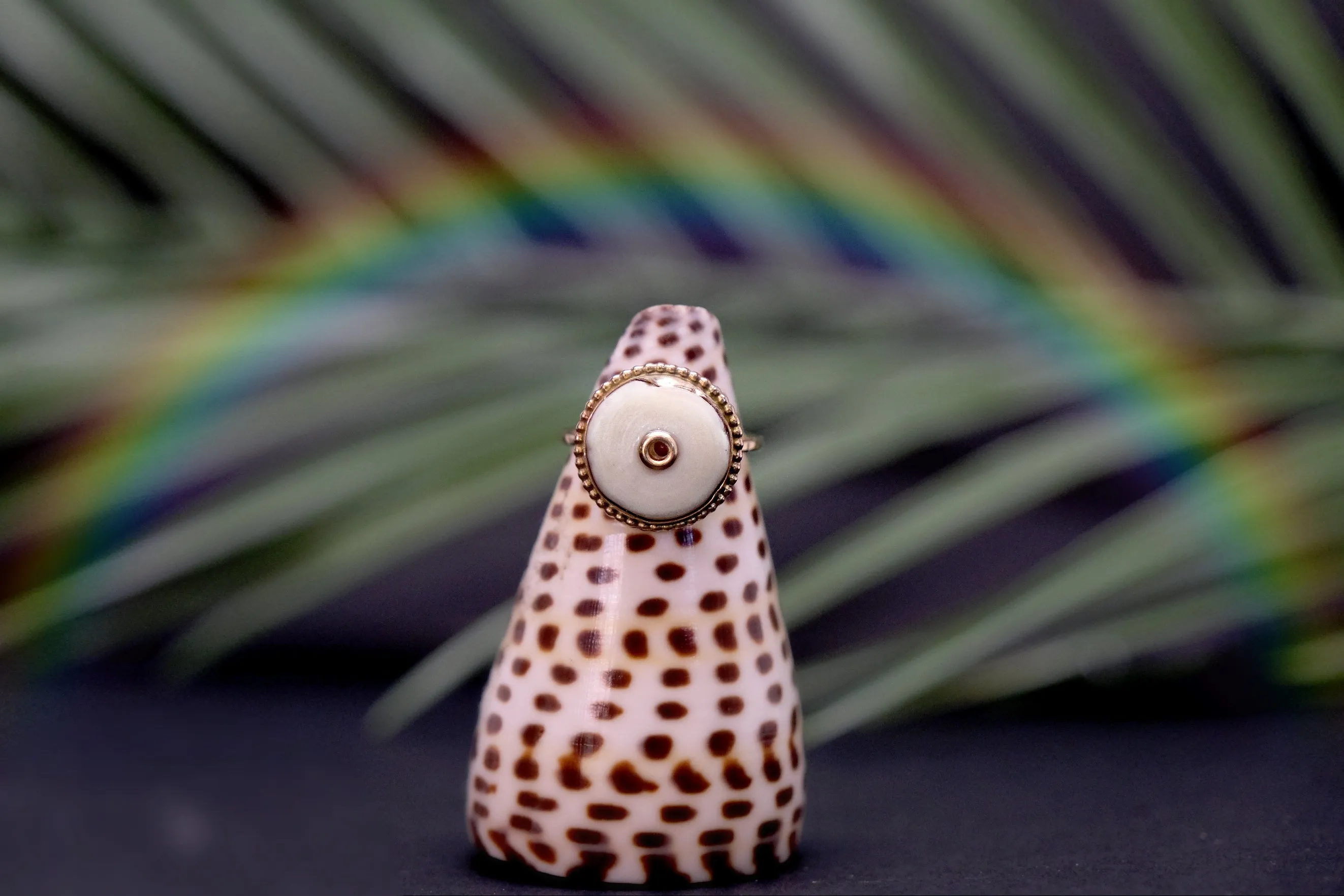 Puka Pimpin Ring Off White With Gold Center #2