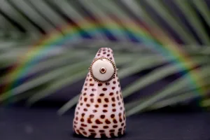 Puka Pimpin Ring Off White With Gold Center #2