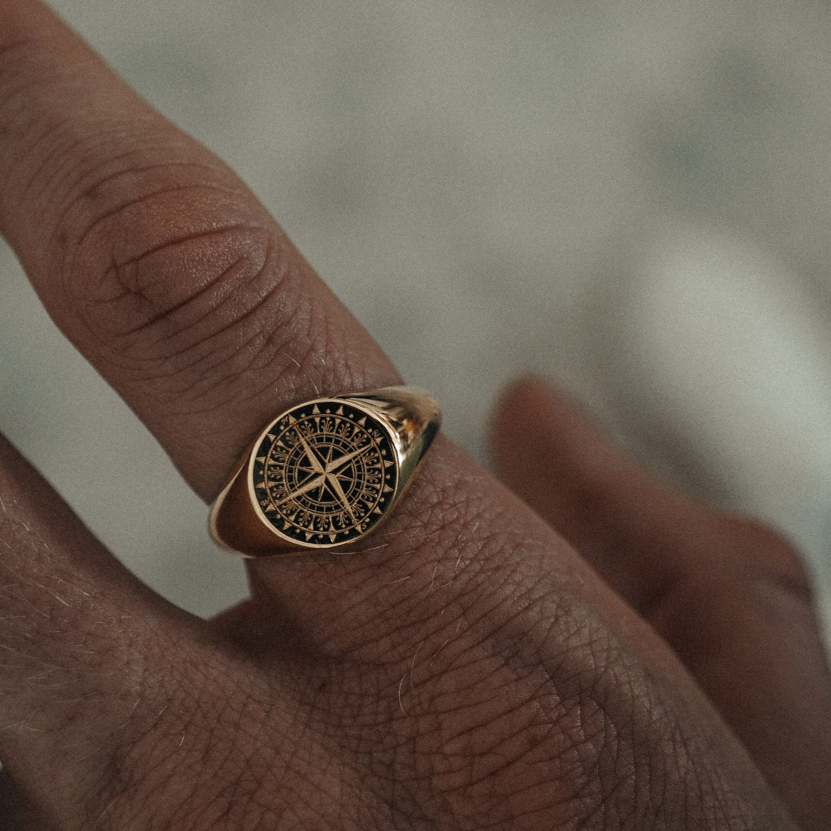 Ring Silver & Gold Compass Rose
