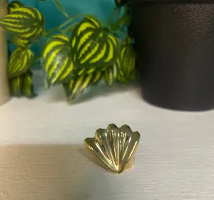 Shell Ring