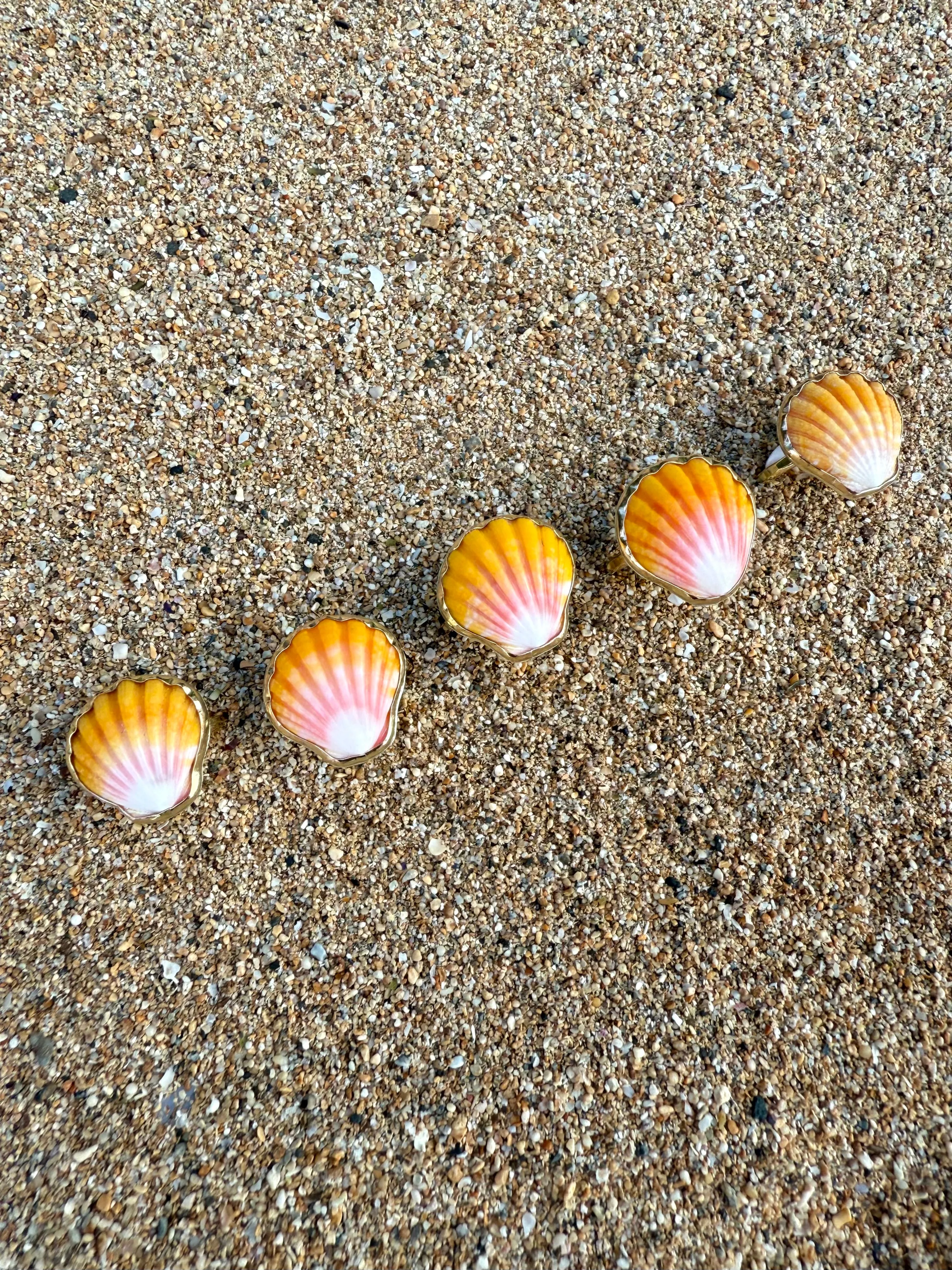 Sunrise Shell Ring in Gold Fill