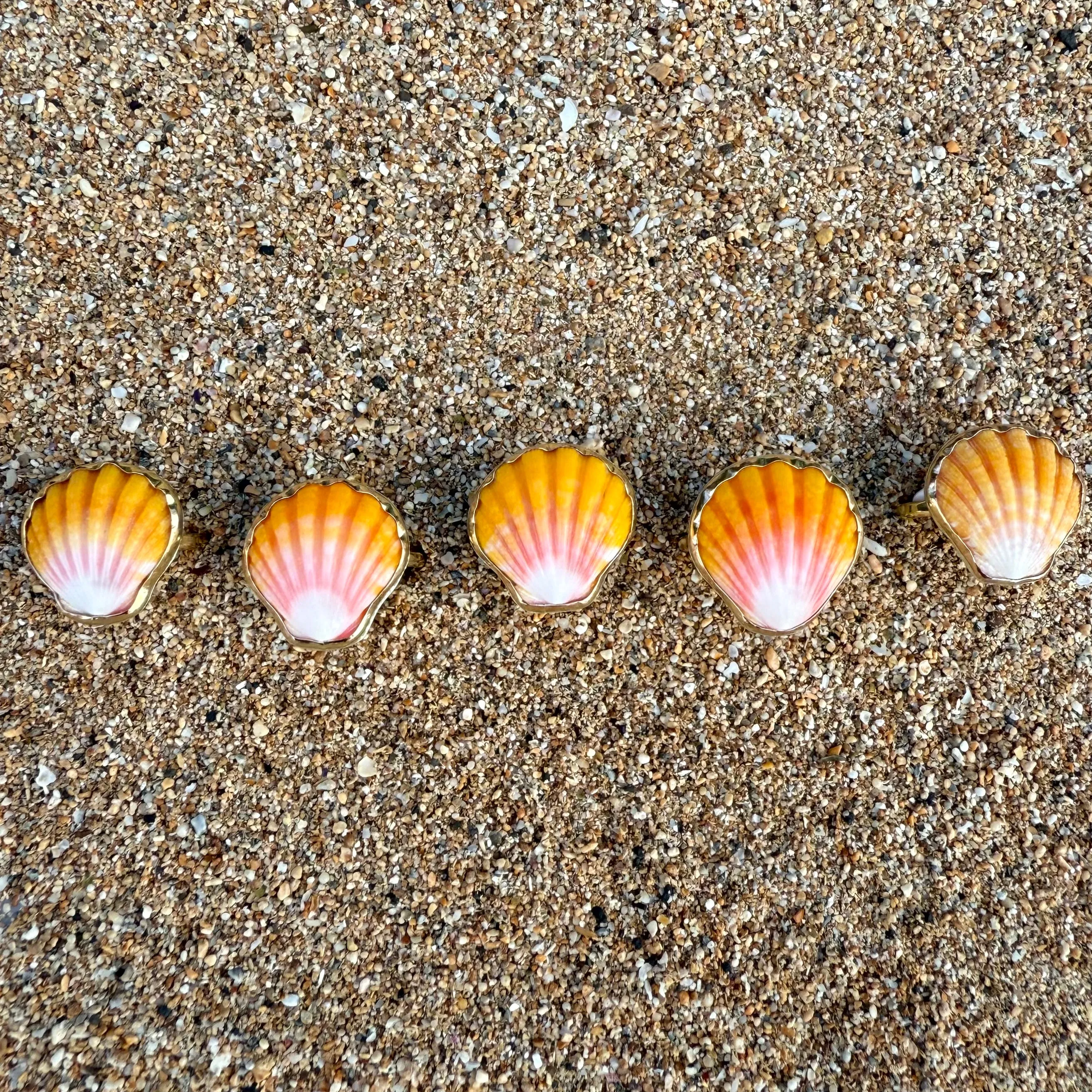 Sunrise Shell Ring in Gold Fill
