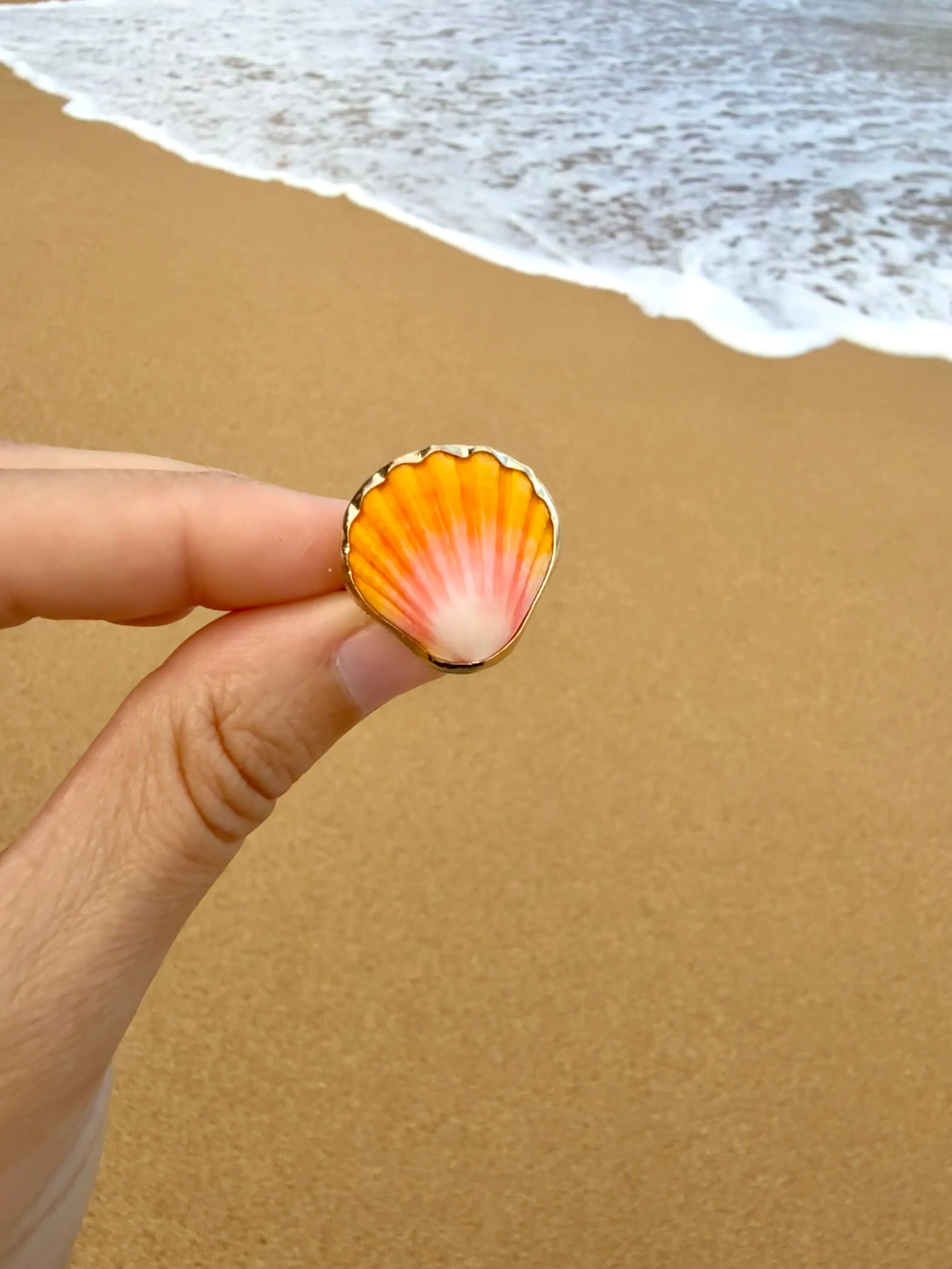 Sunrise Shell Ring in Gold Fill