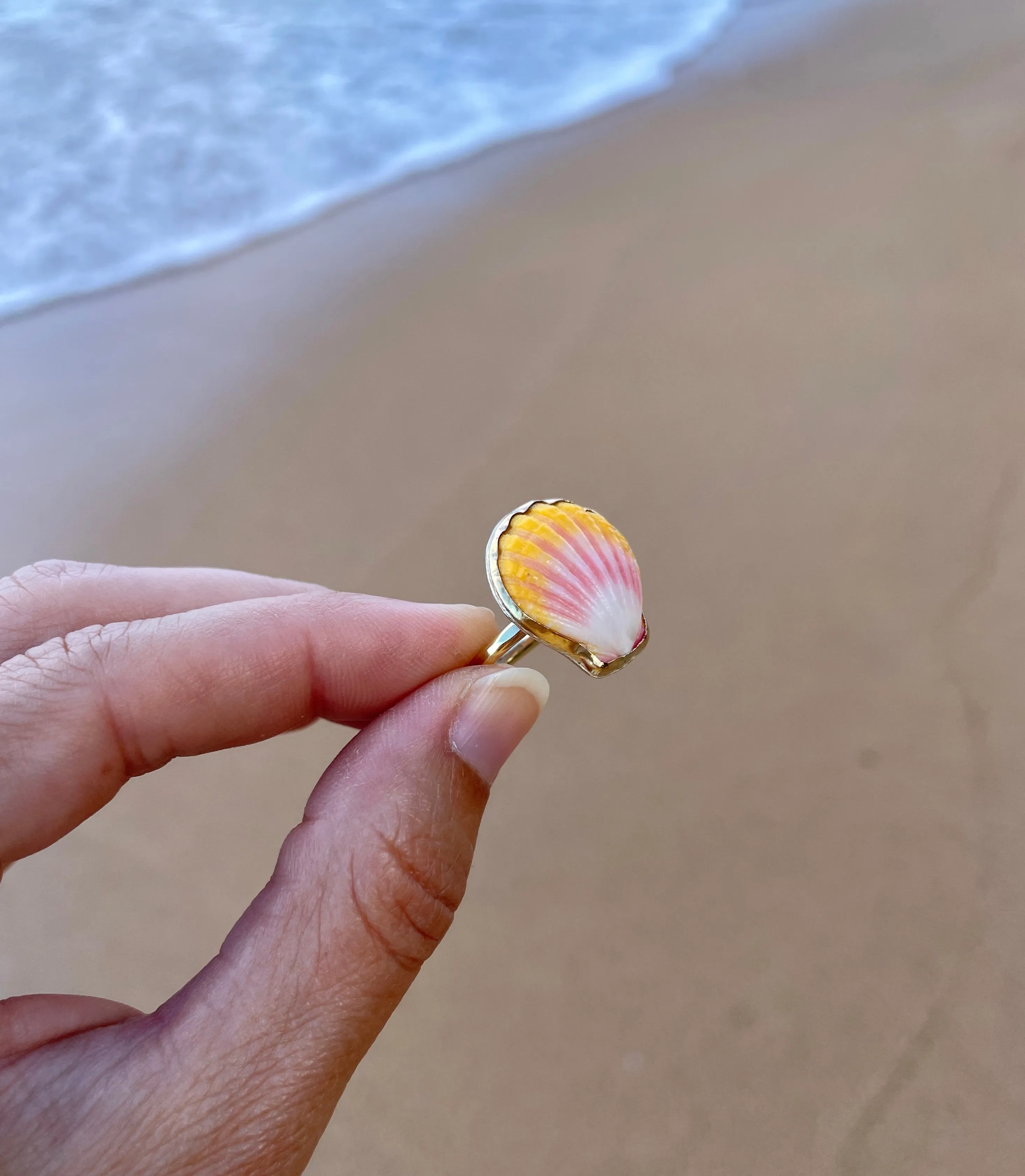 Sunrise Shell Ring in Gold Fill