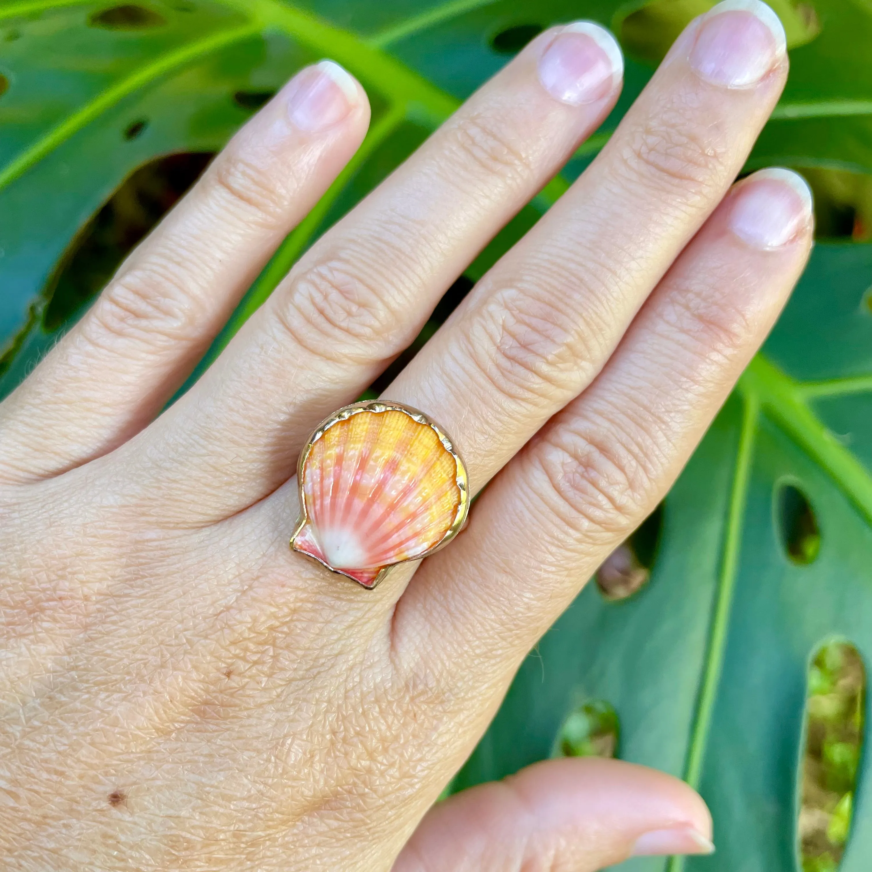 Sunrise Shell Ring in Gold Fill