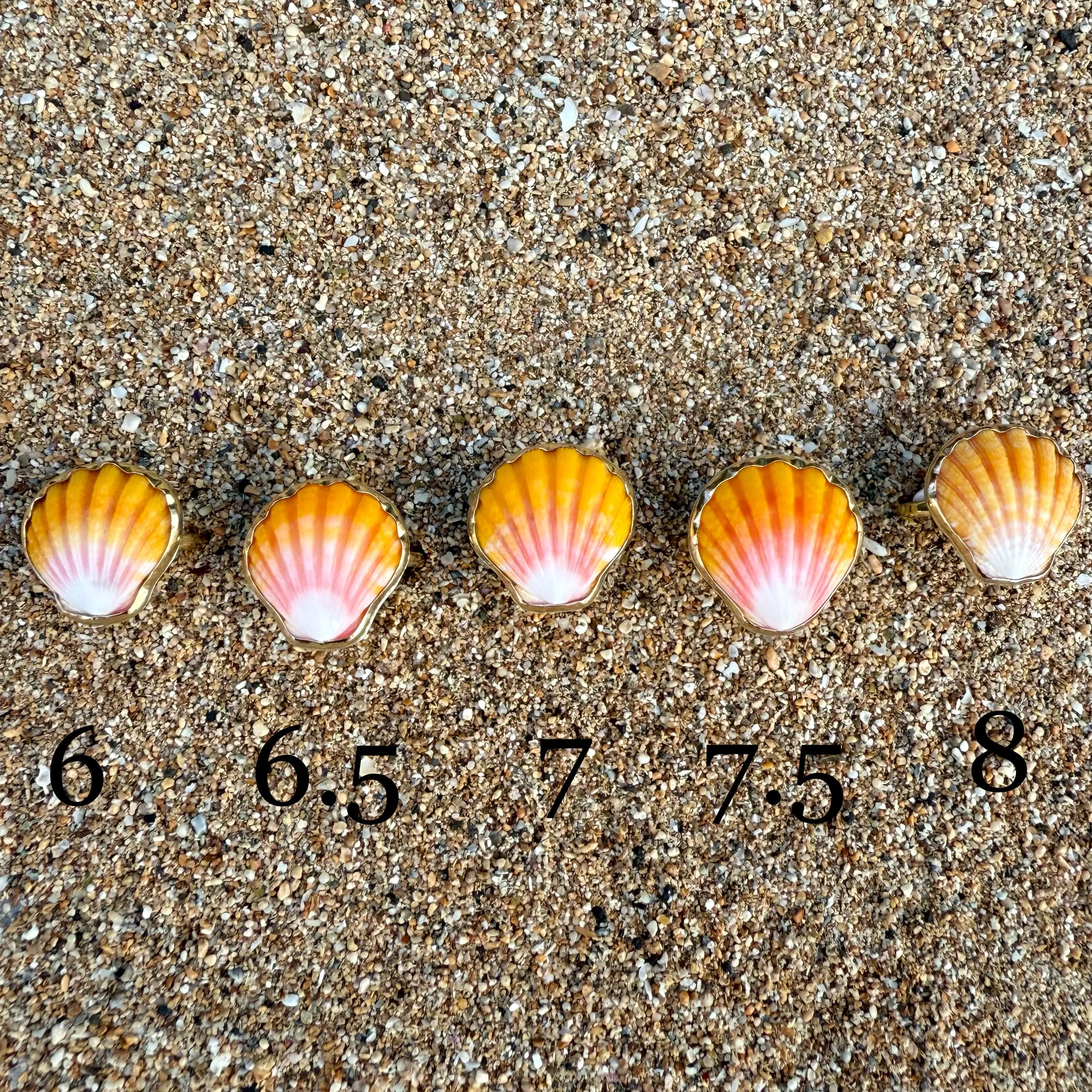 Sunrise Shell Ring in Gold Fill