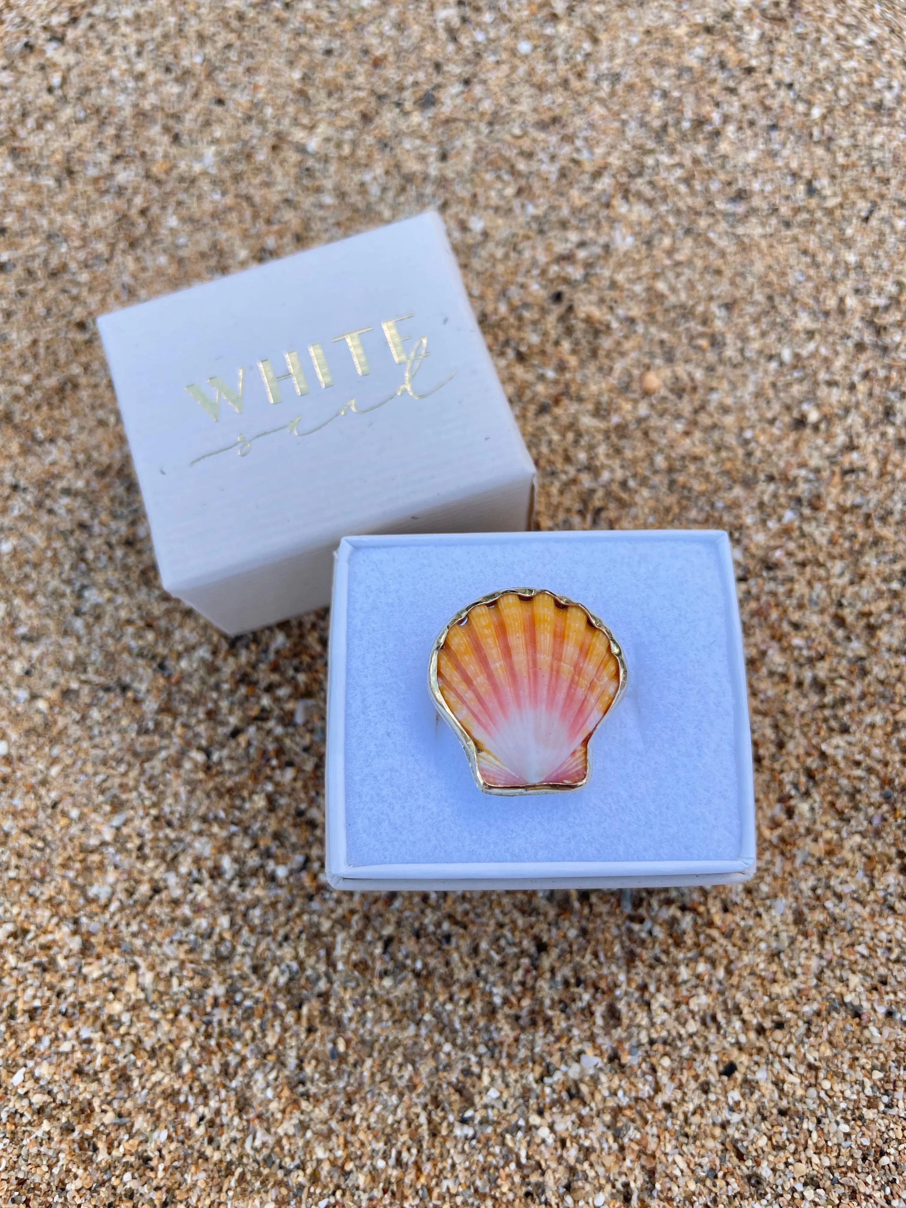 Sunrise Shell Ring in Gold Fill