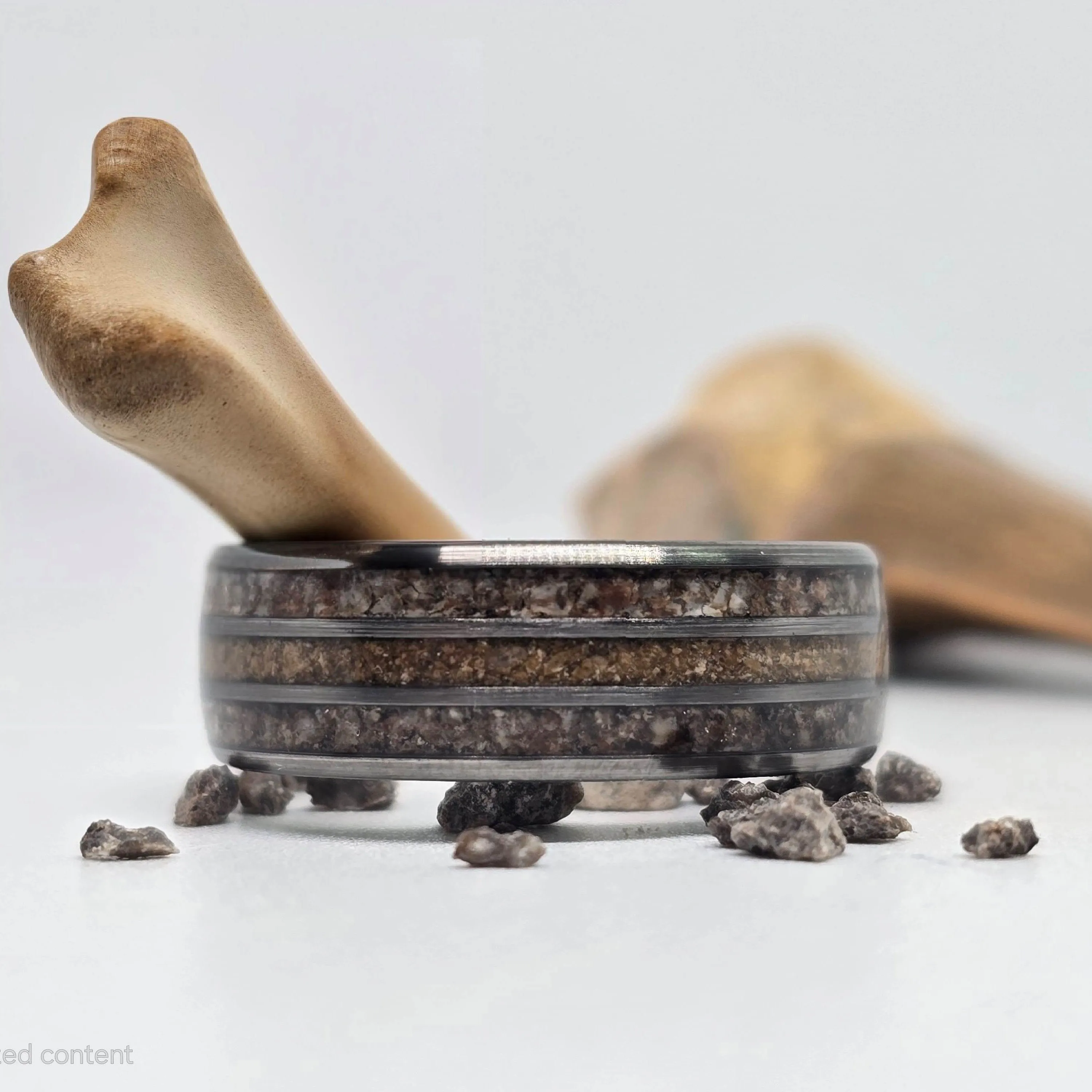 The Spartan - Agatized Dino bone & Meg Tooth